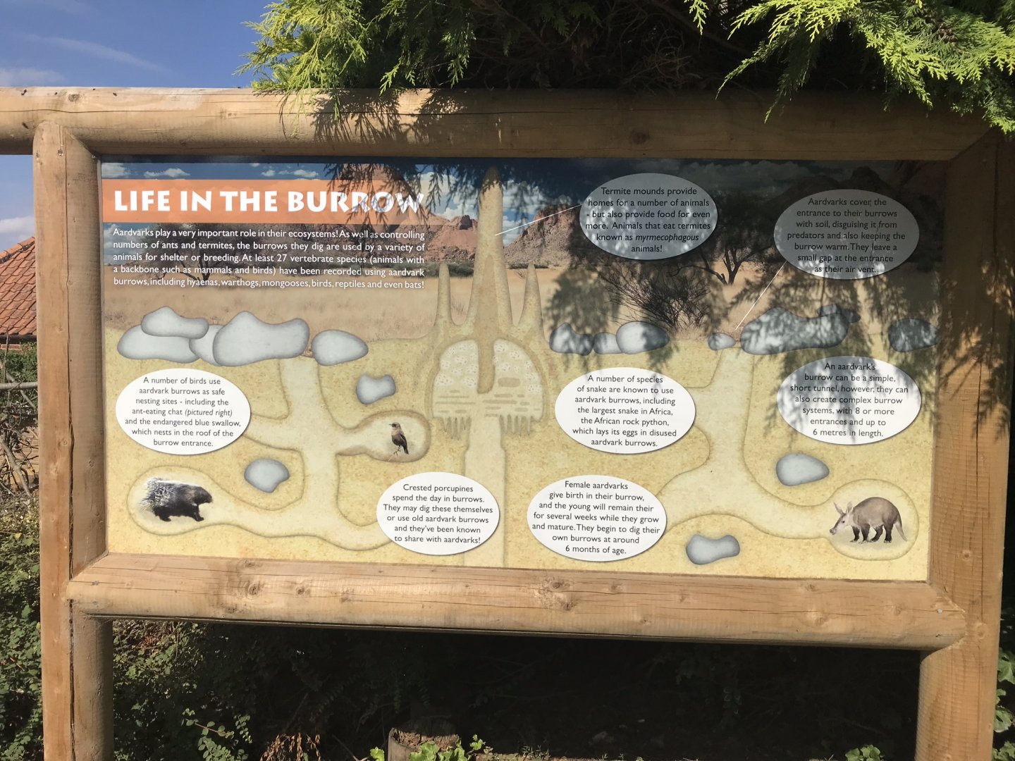 Signage example 080818