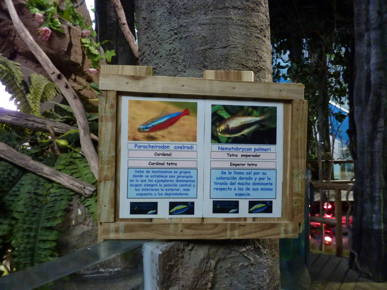 Signage example, 10th April 2012