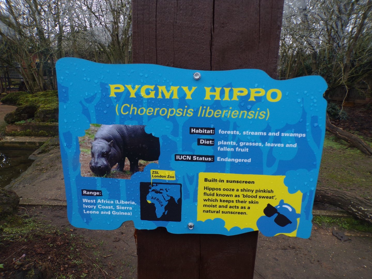 Signage example 11.2.25