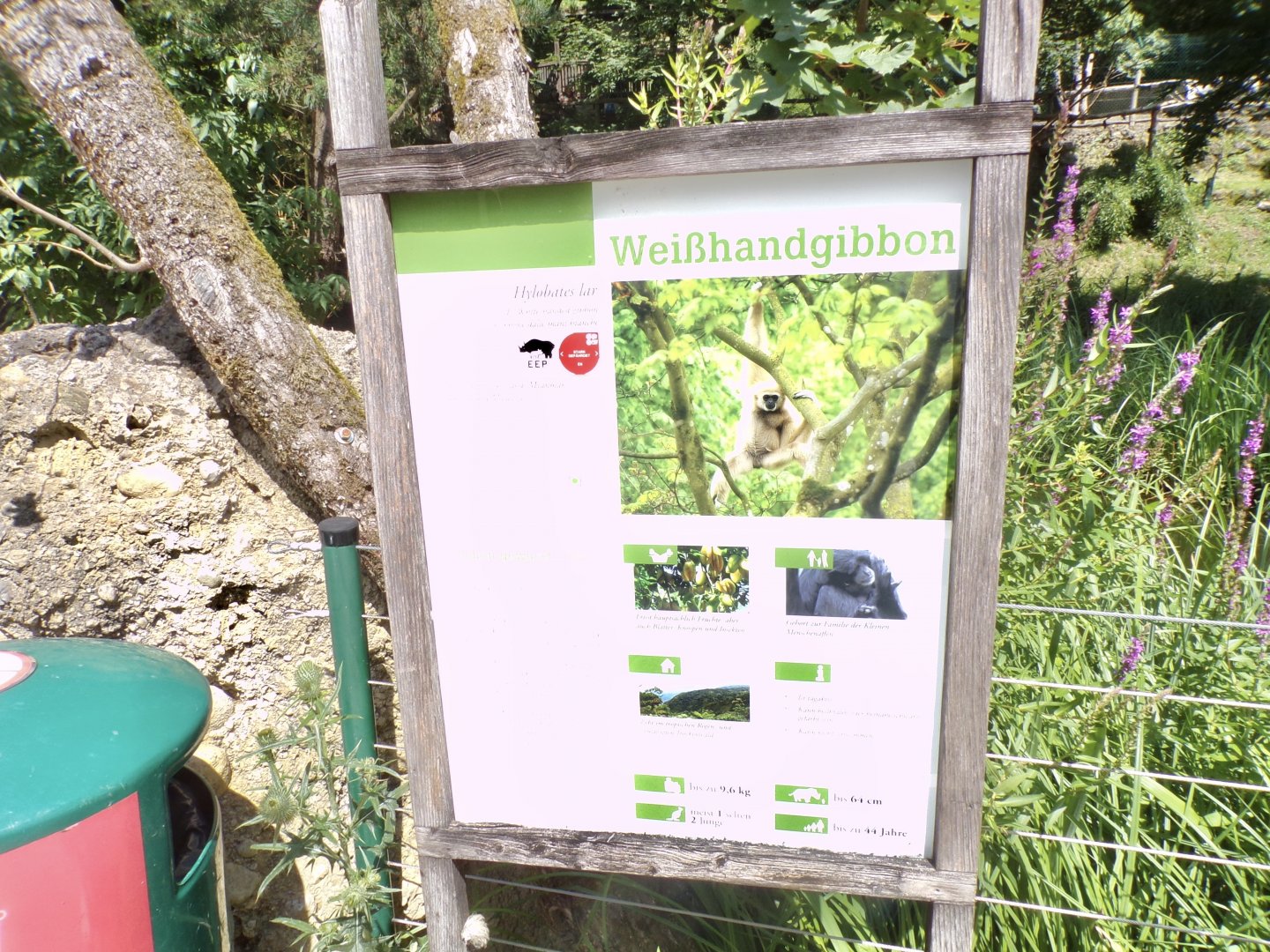 Signage example 13.7.25