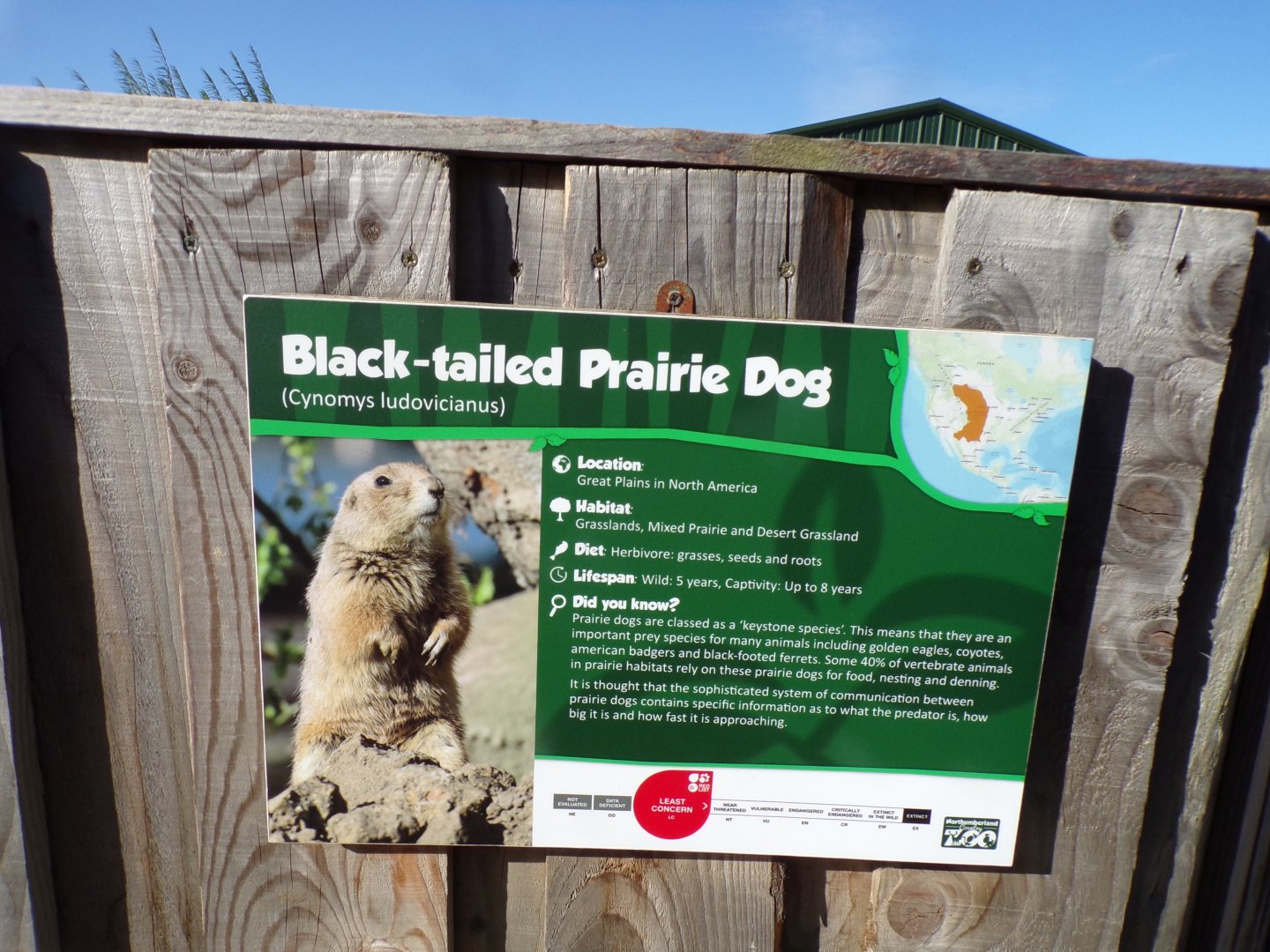 Signage example 14.10.23