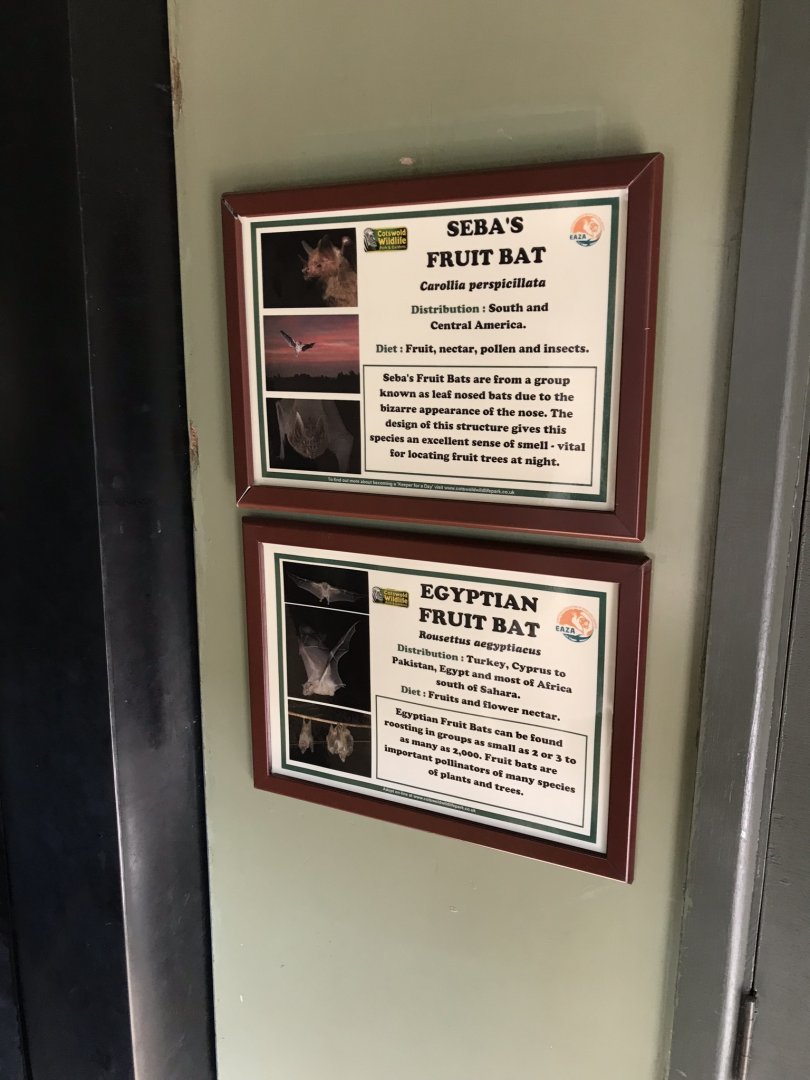 Signage example 250318