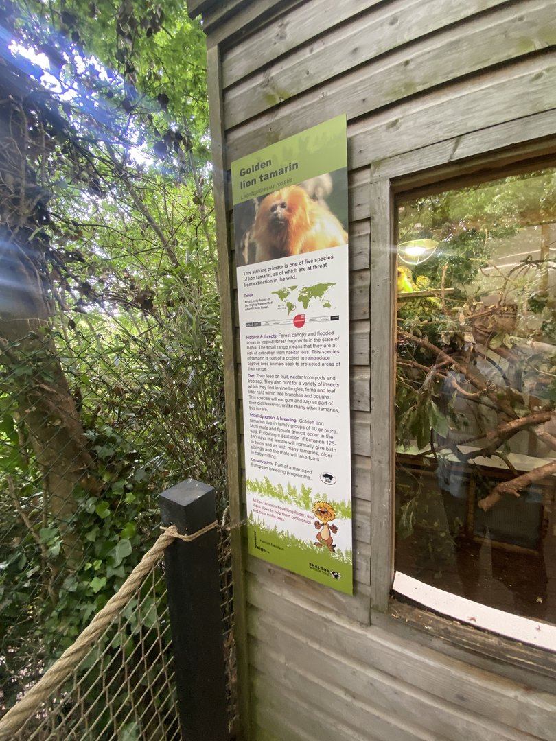 Signage example 250623