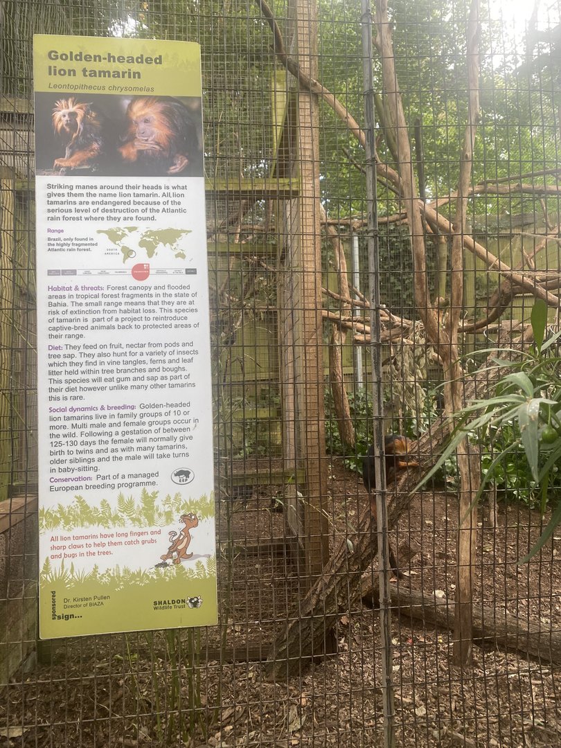 Signage example 250623