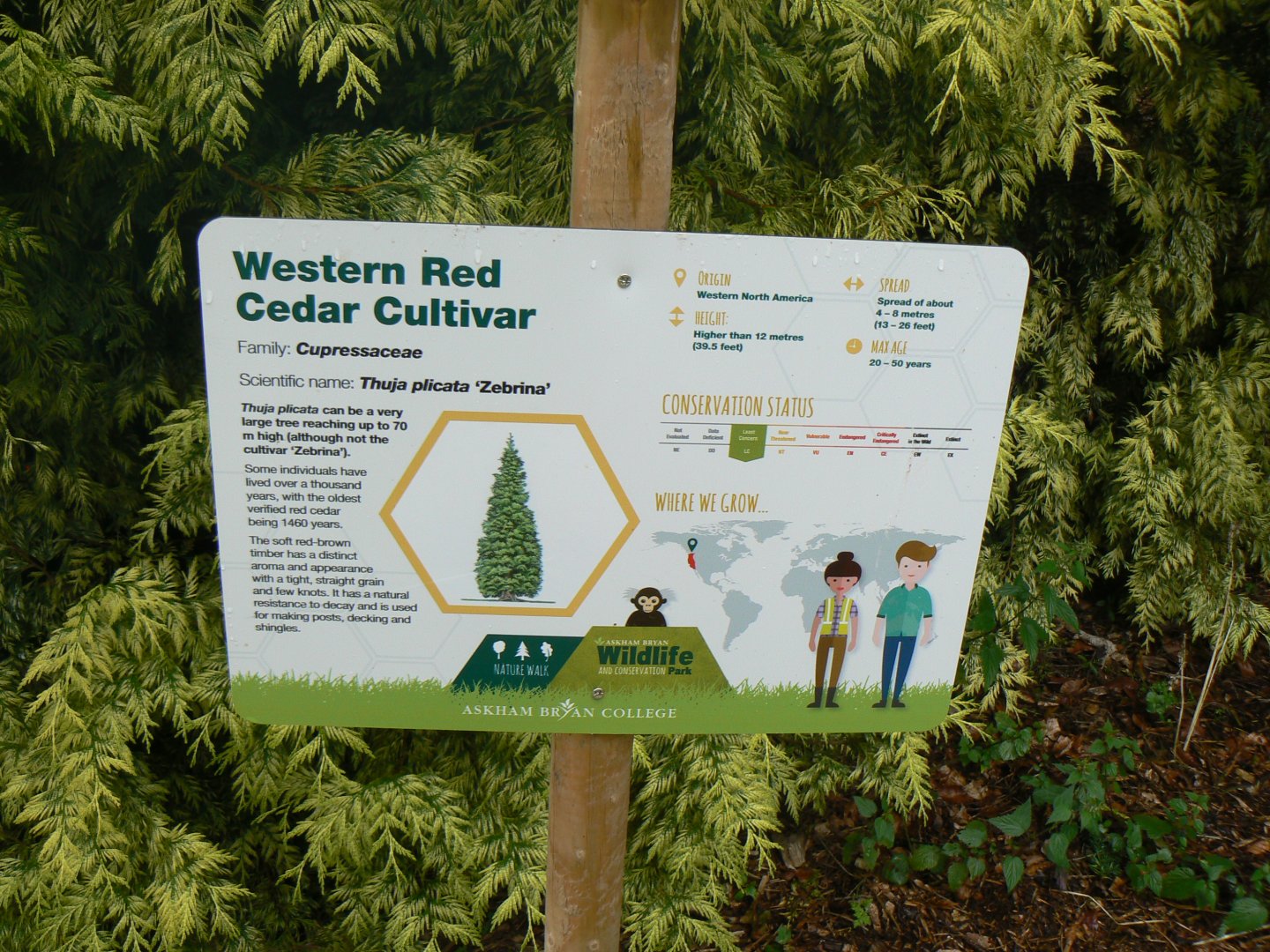 Signage Example - 27 July 2017