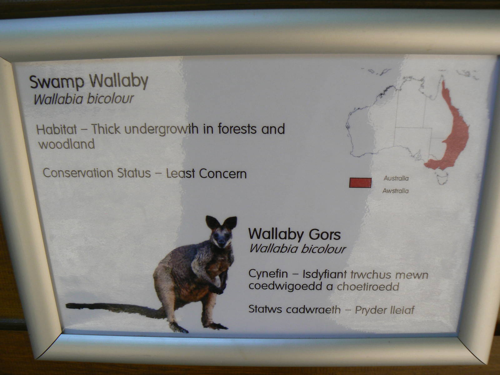 Signage Example - 30 May 2016