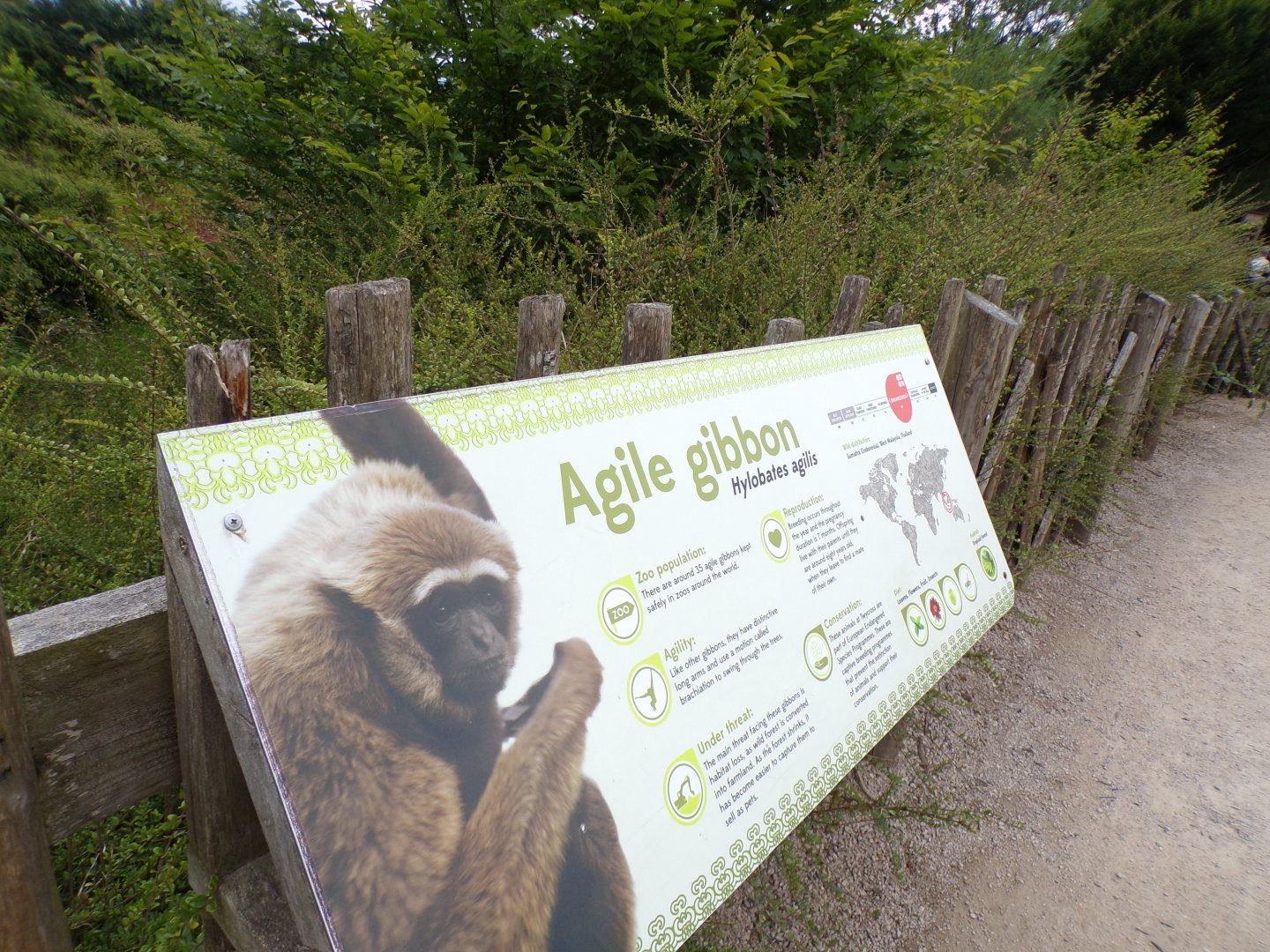 Signage example 7.7.24