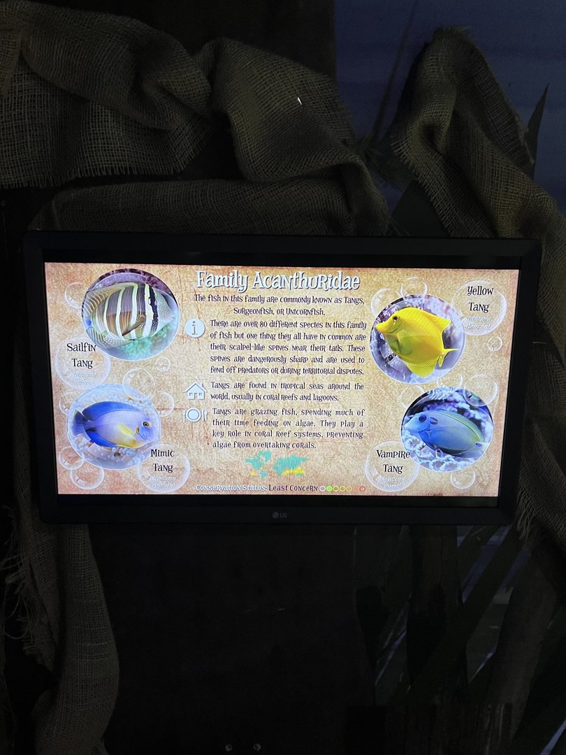 Signage example 8.7.24