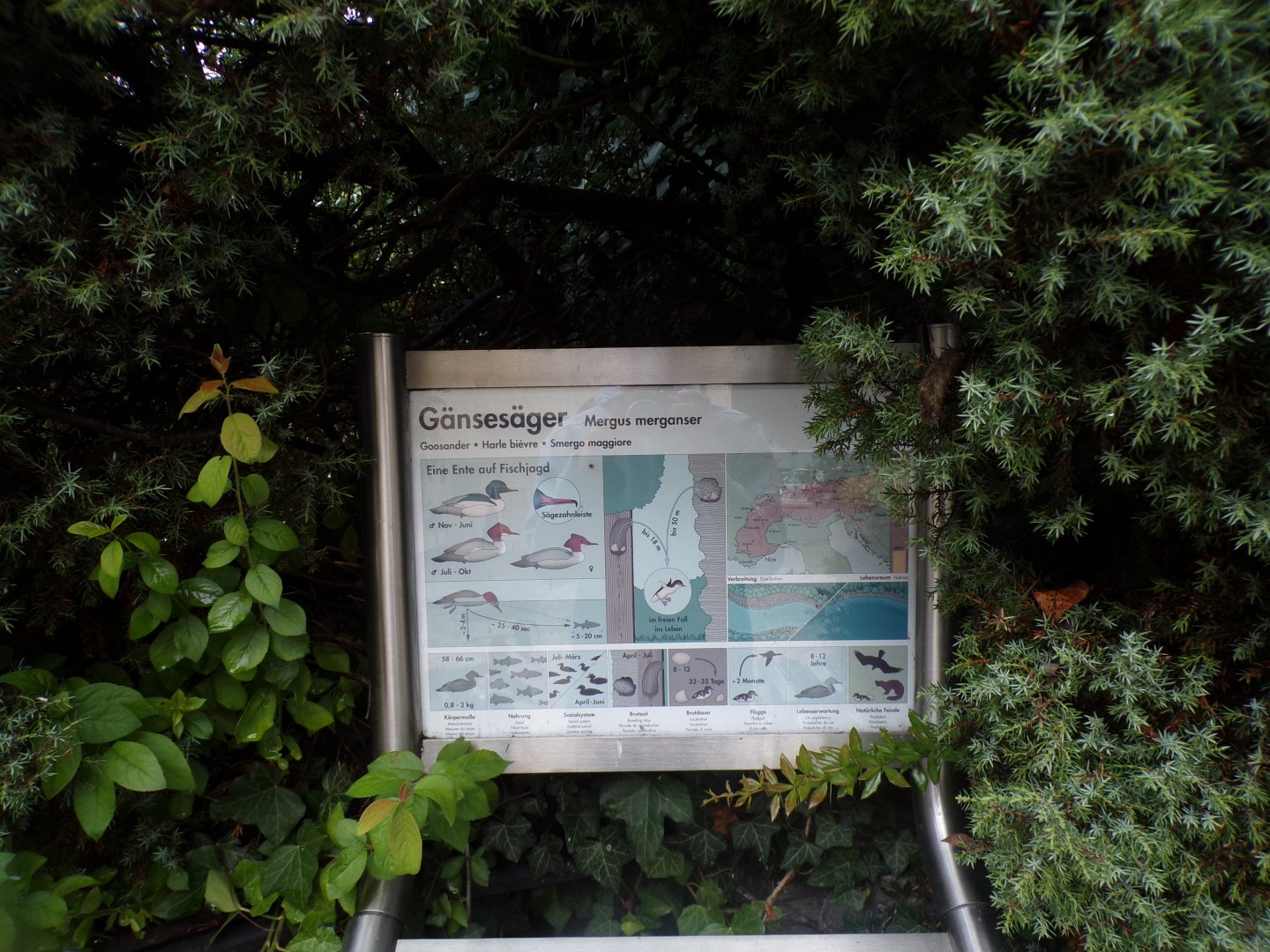 Signage example 9.7.25