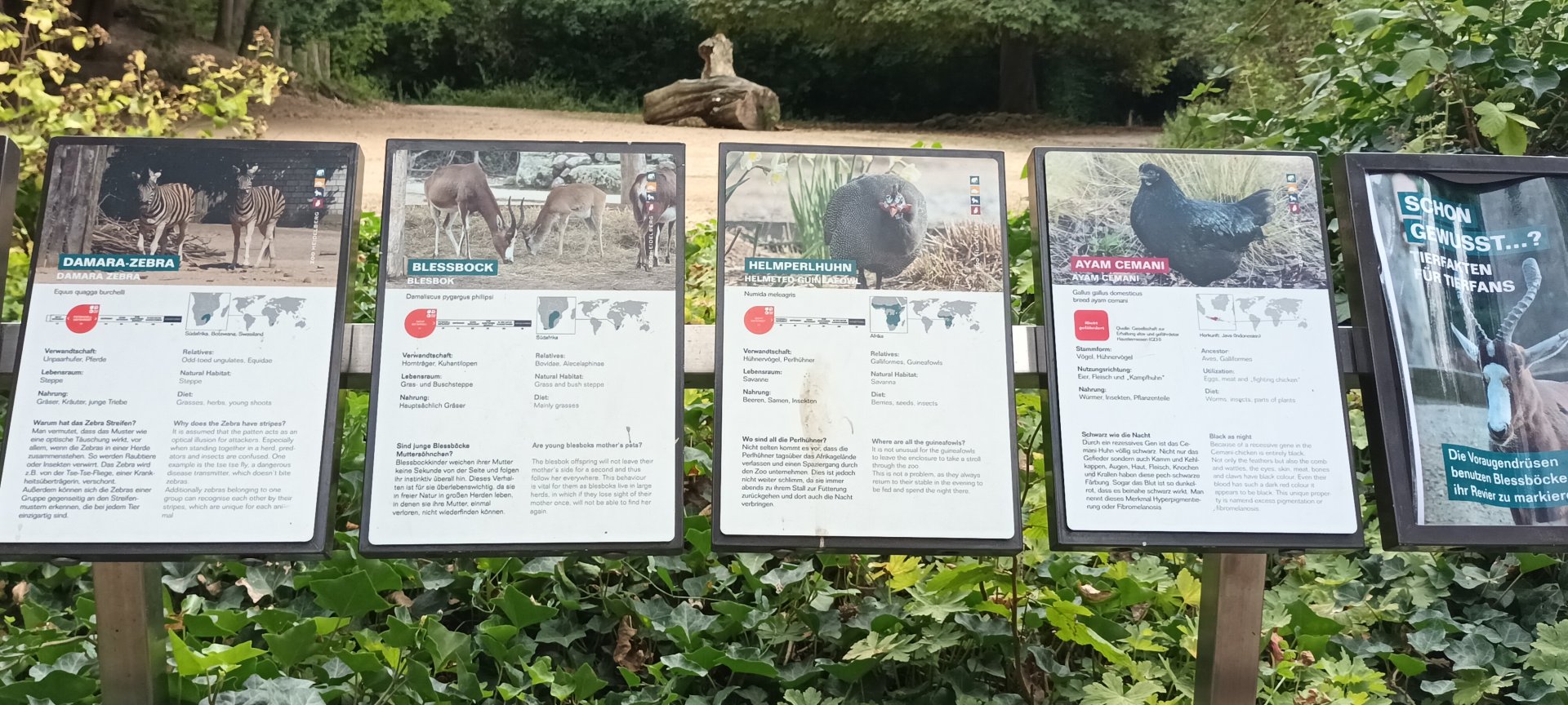 Signage example African Savannah