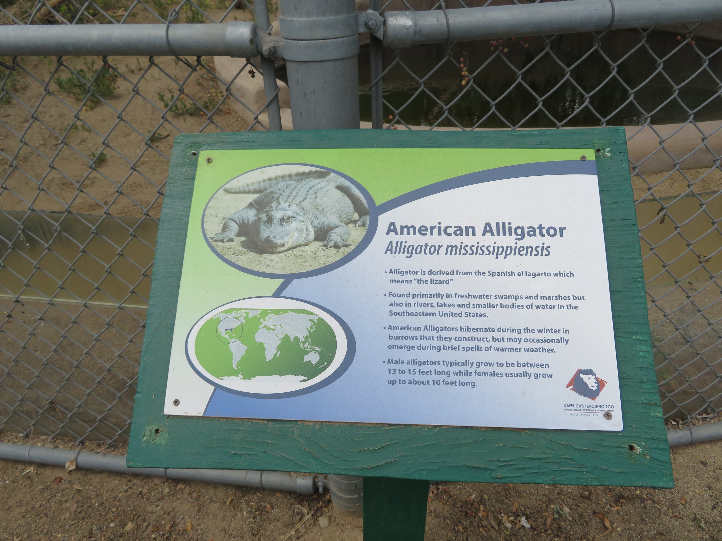 Signage Example (Alligator)