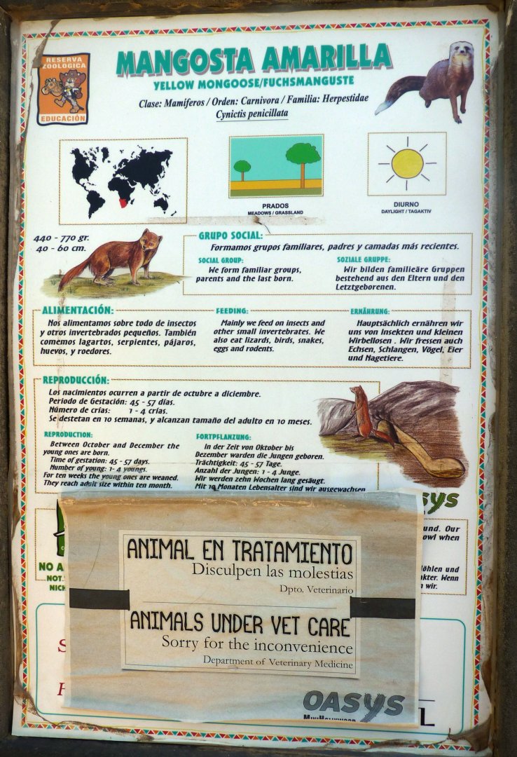 Signage example - Animals in manteinance