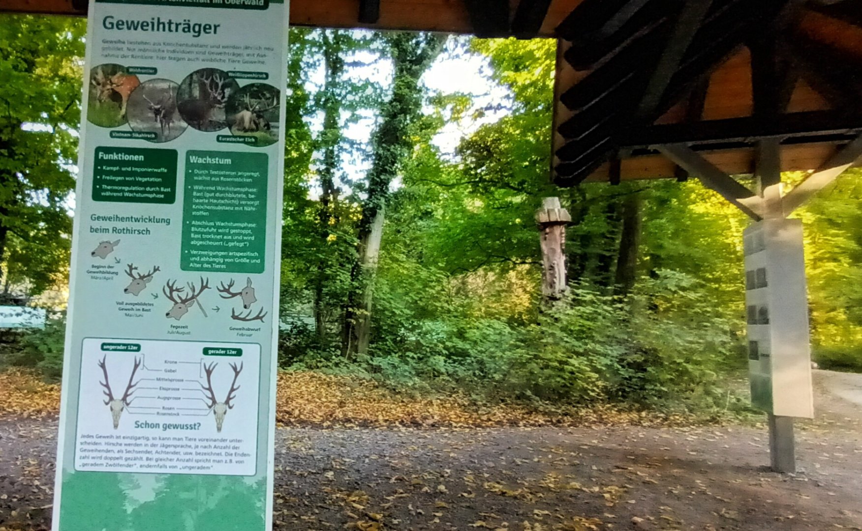 Signage Example: Antlers