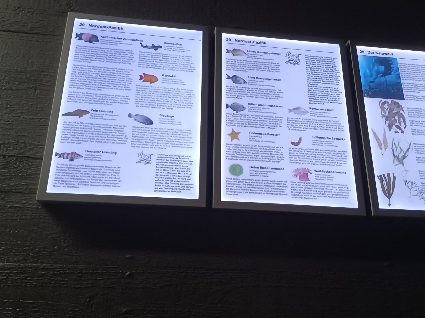 Signage Example Aquarium