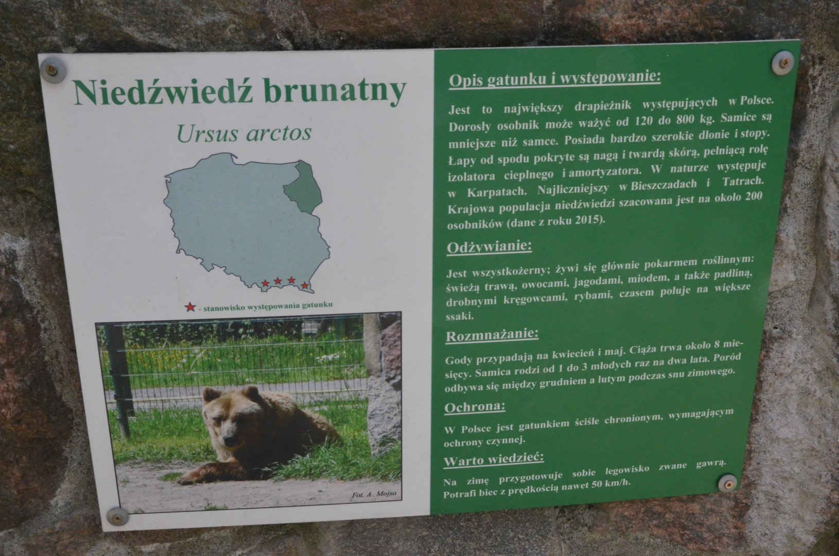 Signage Example at Akcent Zoo Białystok, 08/05/19