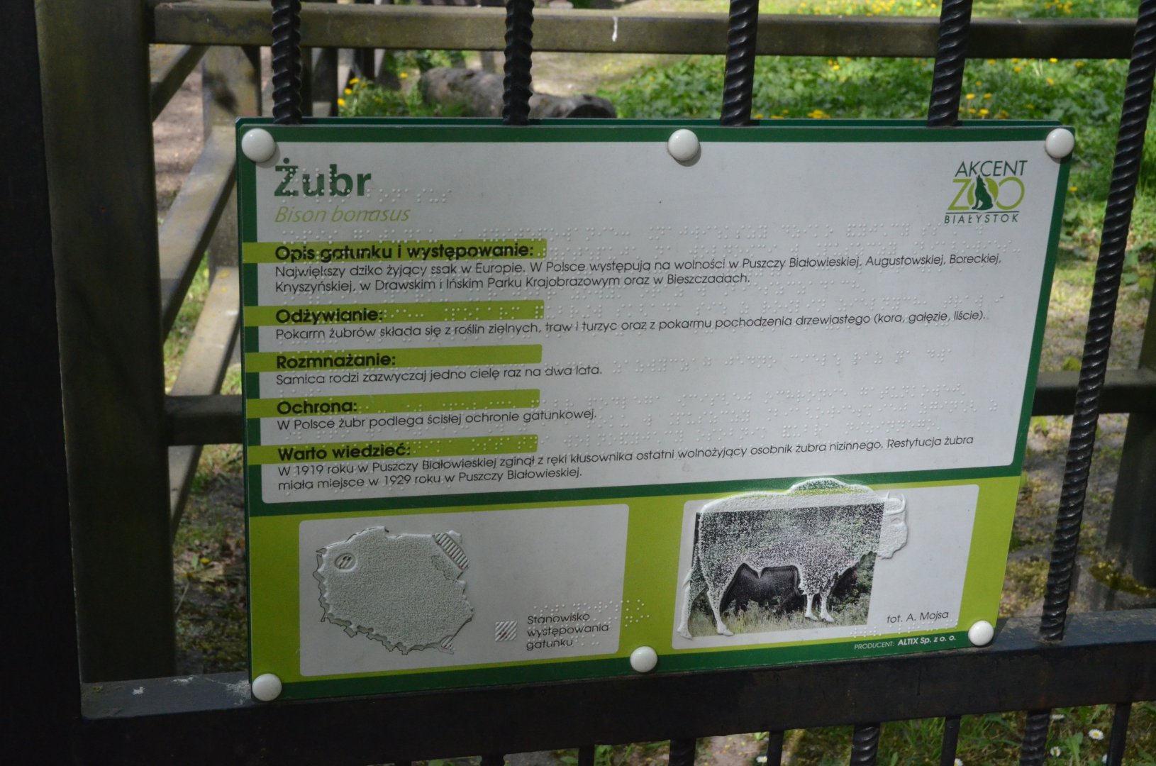 Signage Example at Akcent Zoo Białystok, 08/05/19