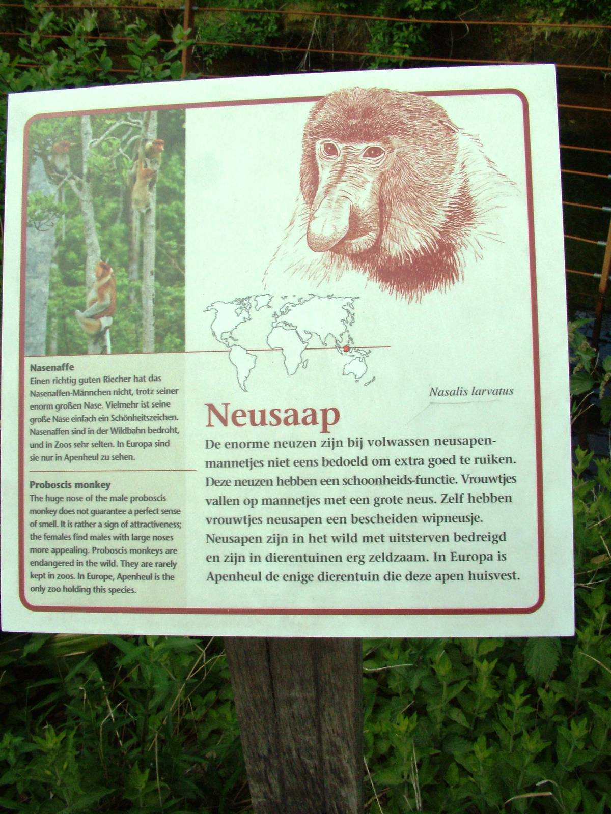 Signage Example at Apenheul, 30/05/12