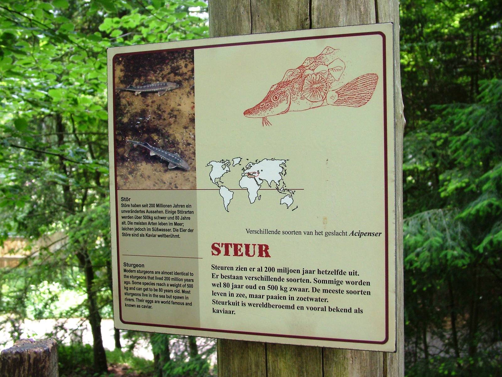 Signage Example at Apenheul, 30/05/12