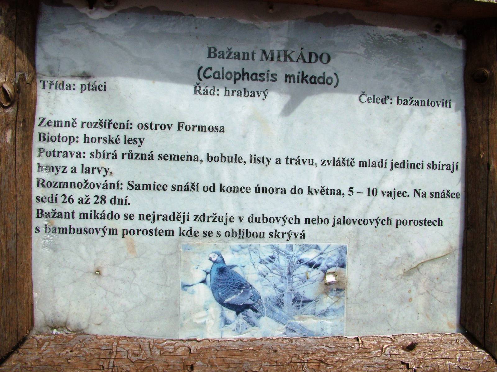 Signage Example at Autocentrum Boura (Dymokury), 26/08/12