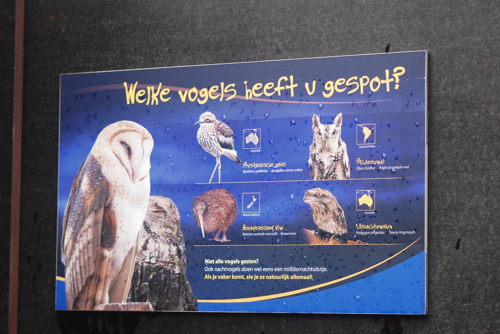Signage Example at Avifauna, 04/06/12
