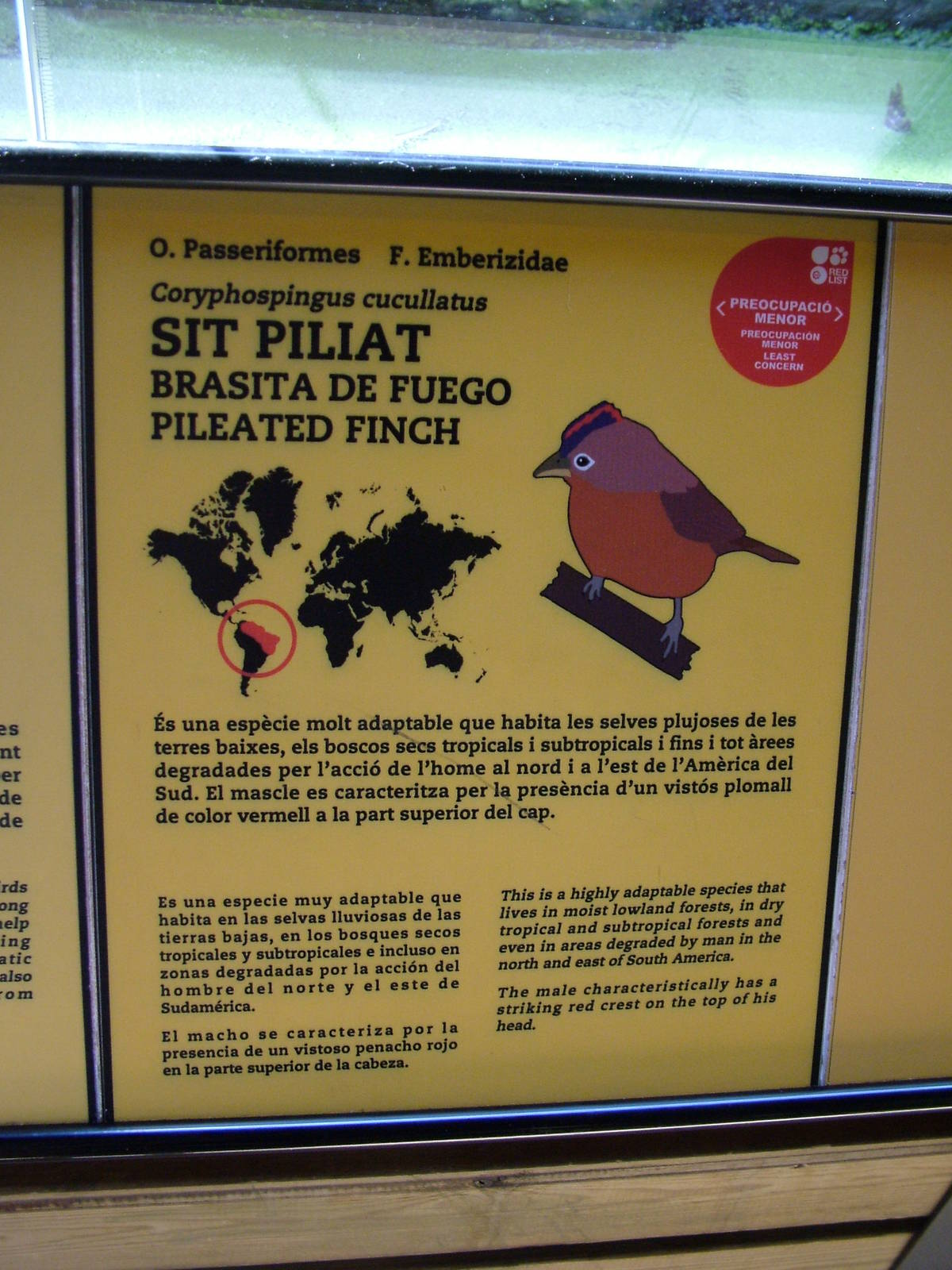 Signage Example at Barcelona, 30/05/11