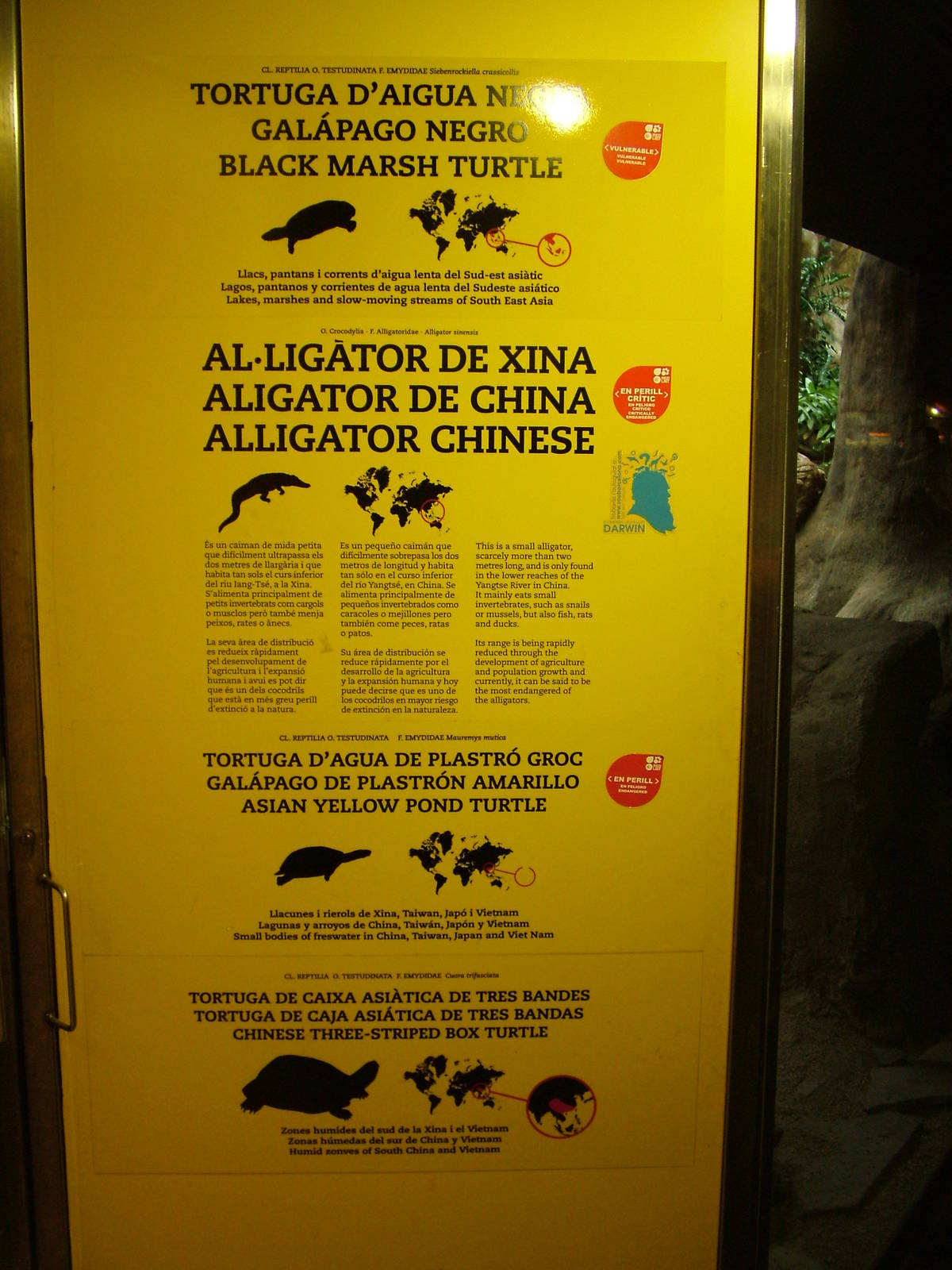 Signage Example at Barcelona, 30/05/11