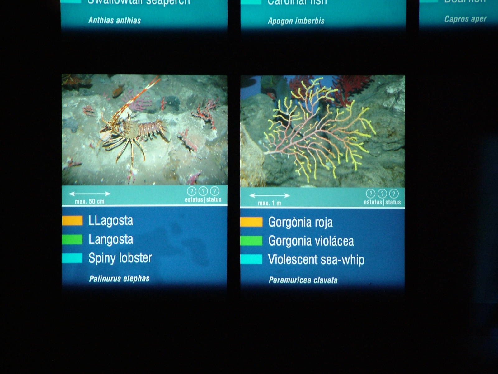 Signage Example at Barcelona Aquarium, 31/05/11