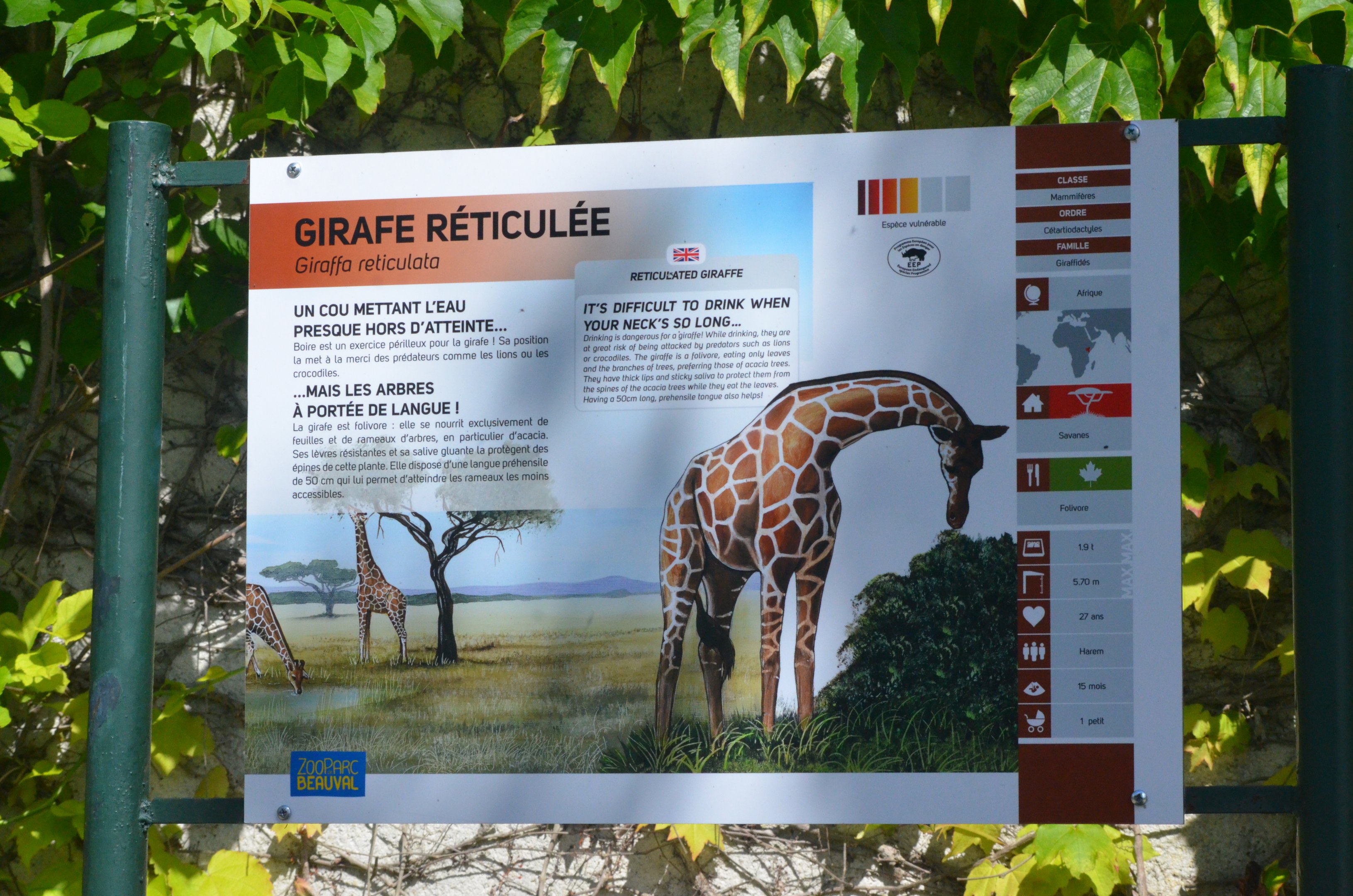 Signage Example at Beauval, 12/06/18