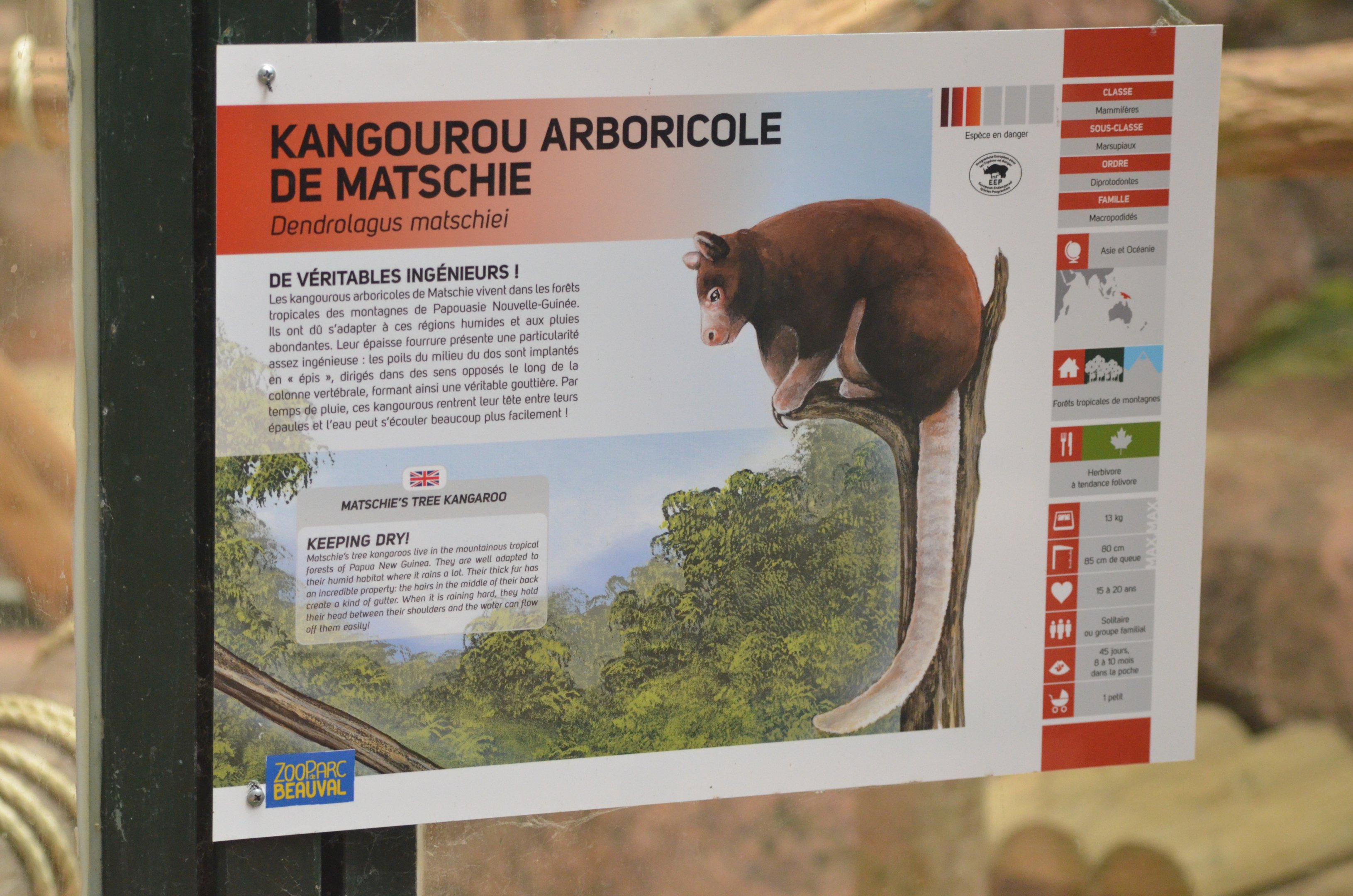 Signage Example at Beauval, 12/06/18