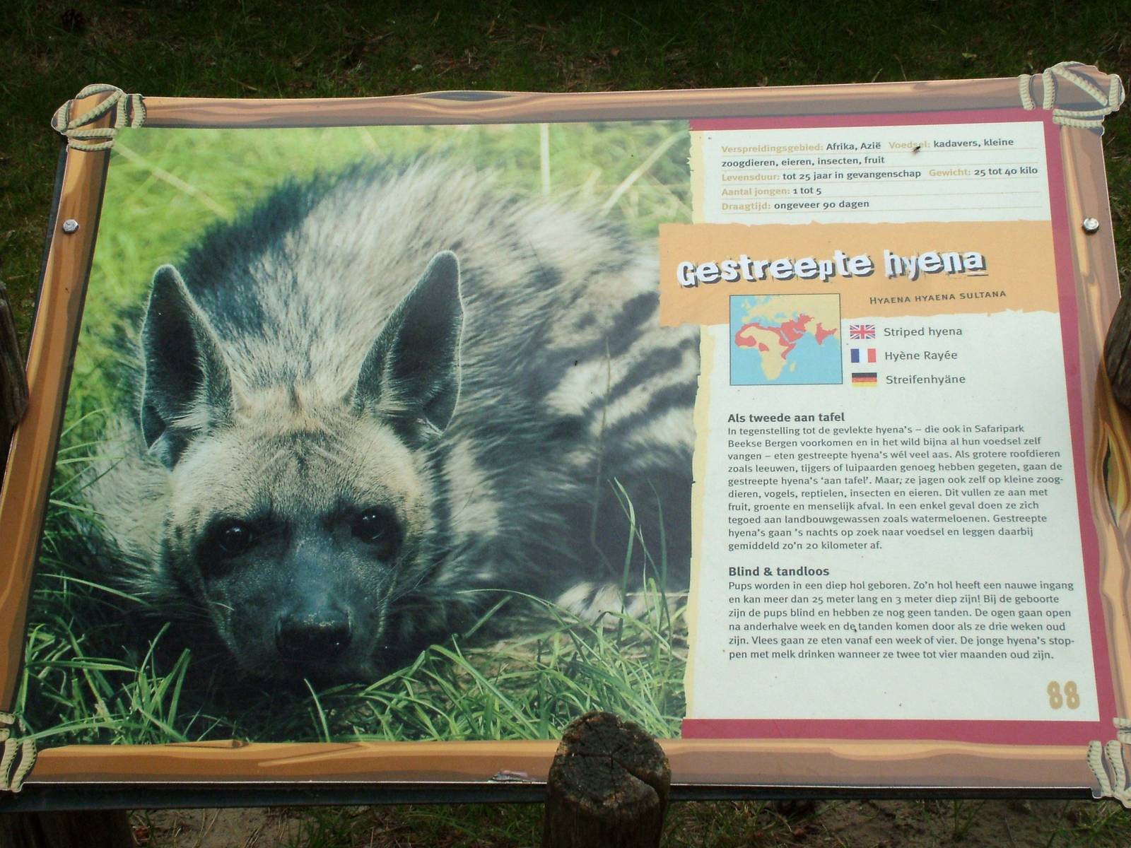 Signage Example at Beekse Bergen, 31/05/12