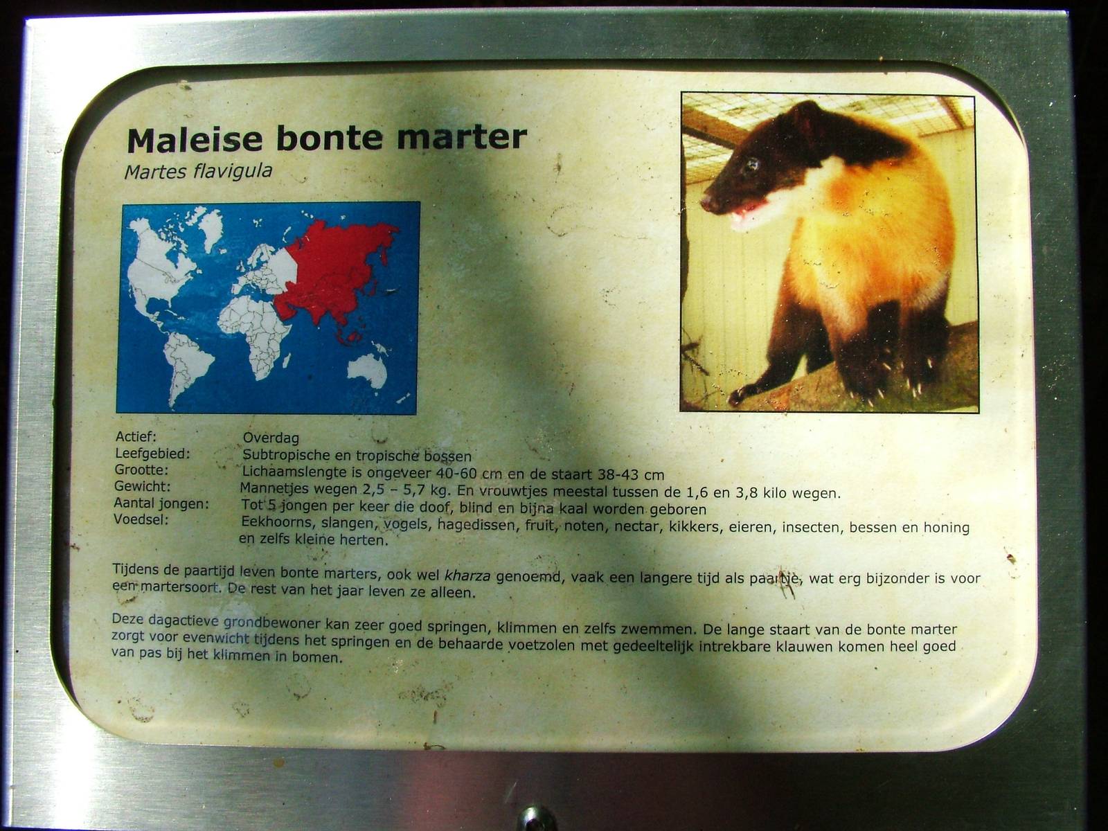 Signage Example at Best, 02/06/12