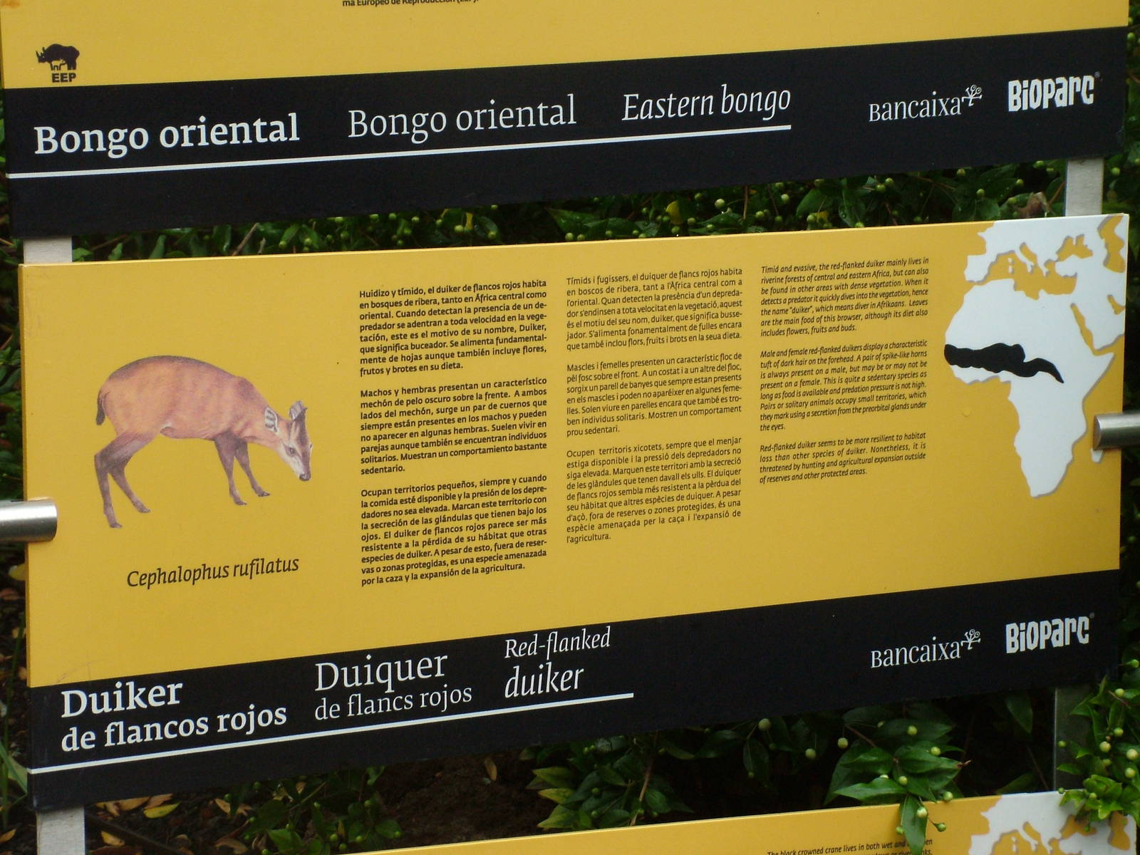 Signage Example at Bioparc Valencia, 28/05/11