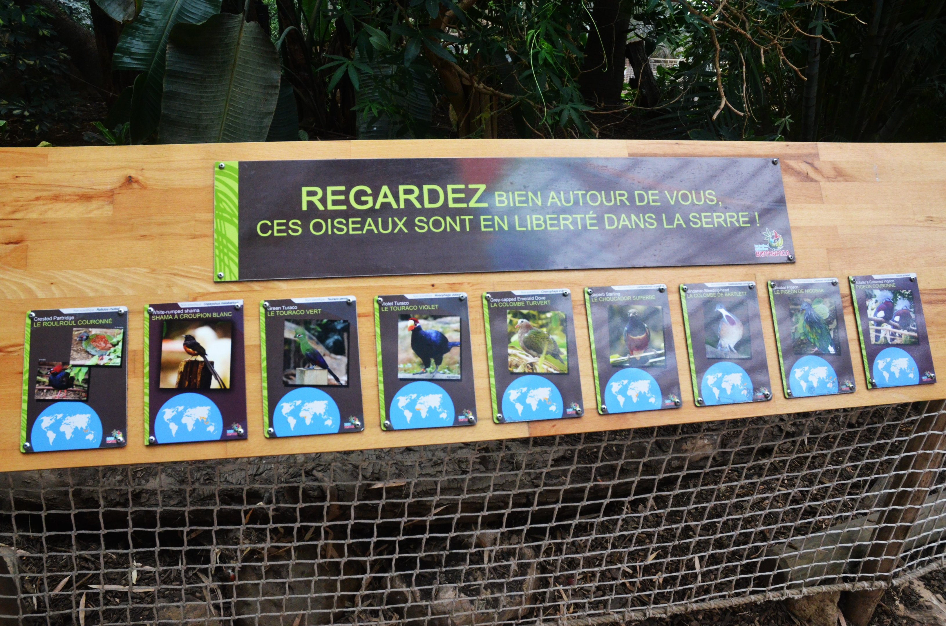 Signage Example at Biotropica, 16/06/18