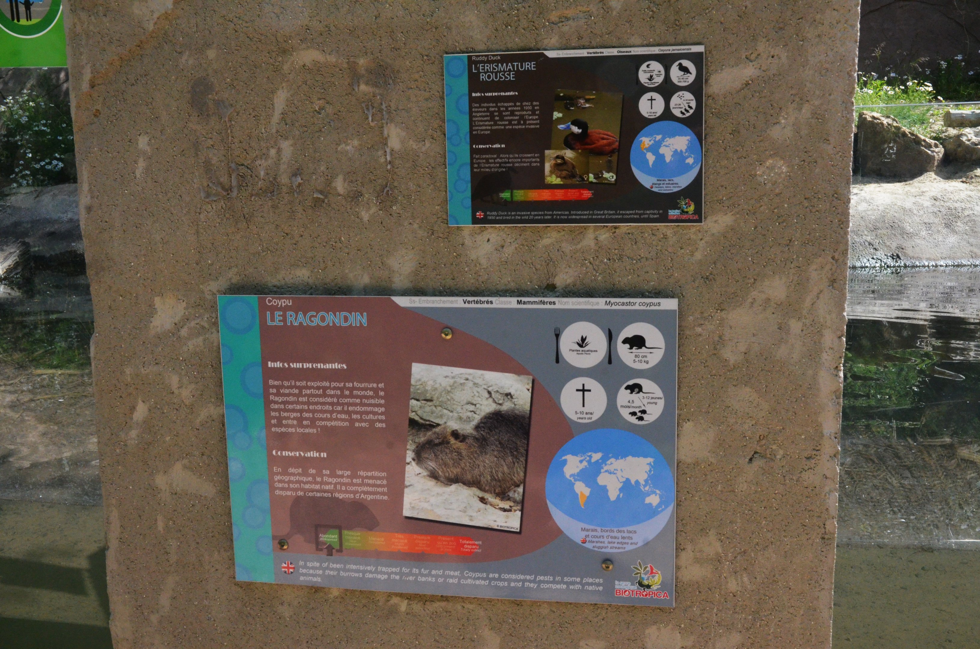 Signage Example at Biotropica, 16/06/18