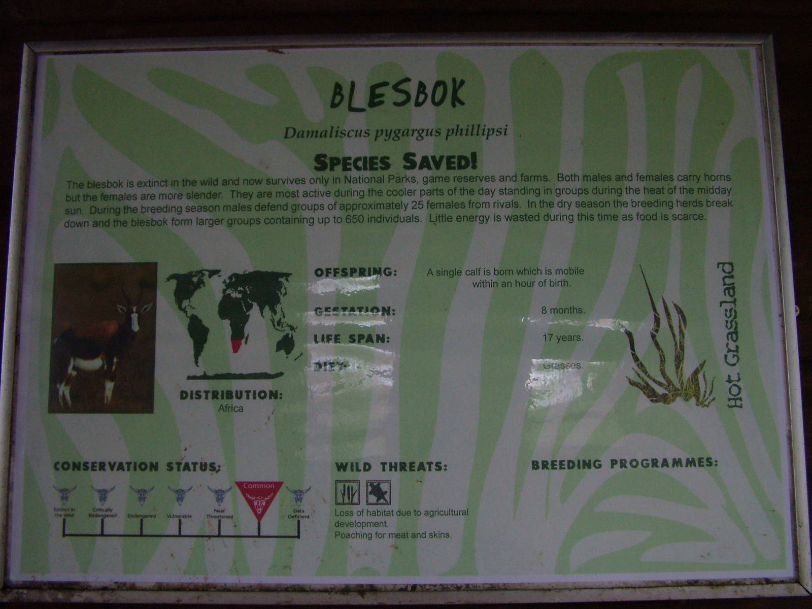 Signage example at Blackpool 26/03/10