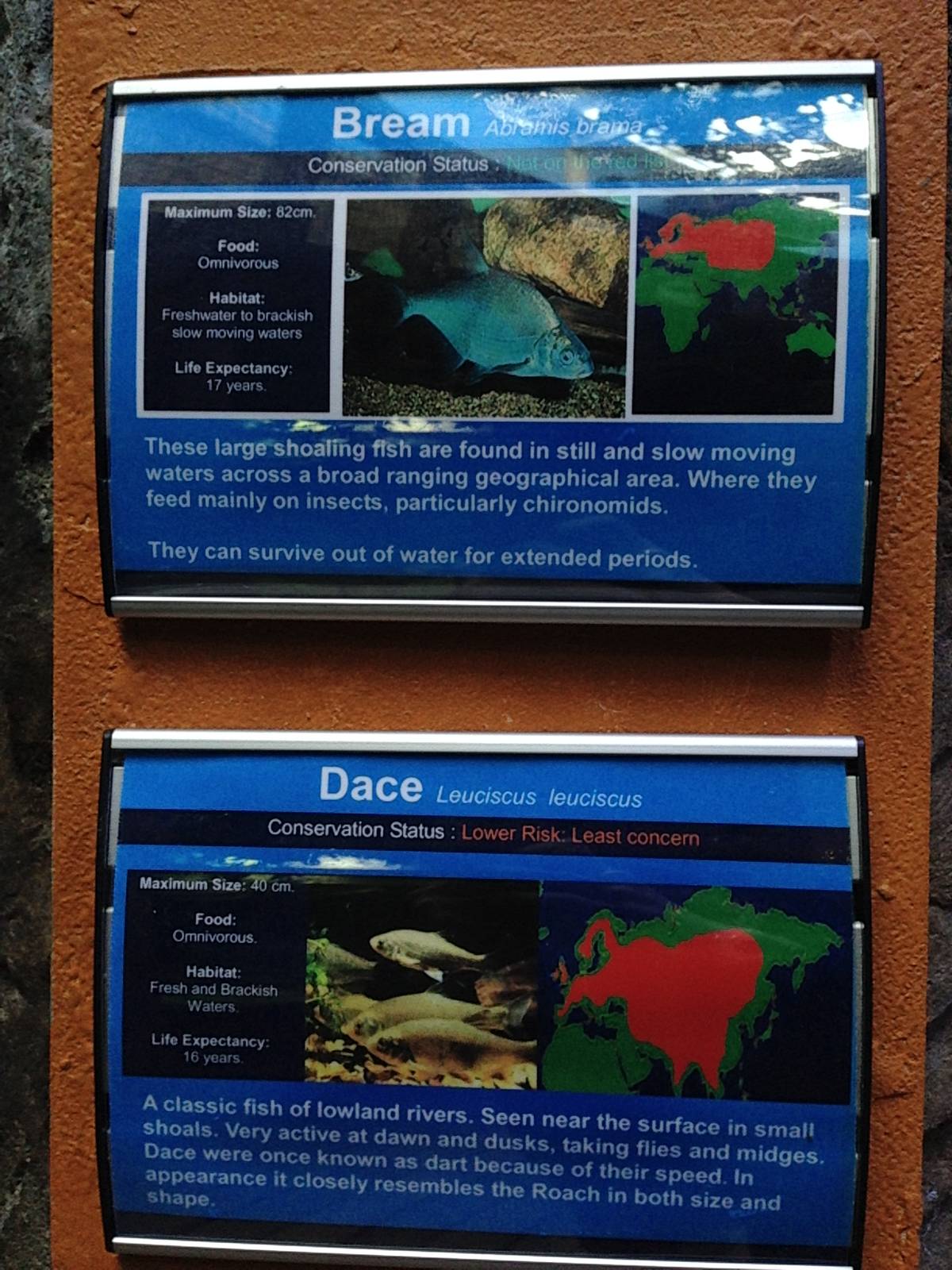 Signage Example at Blue Planet Aquarium - 05/10/2013