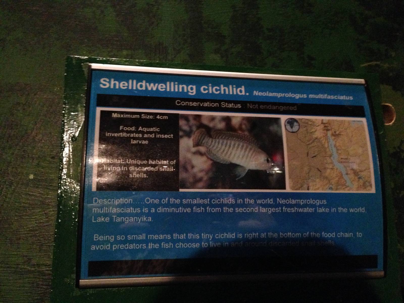 Signage Example at Blue Planet Aquarium - 05/10/2013