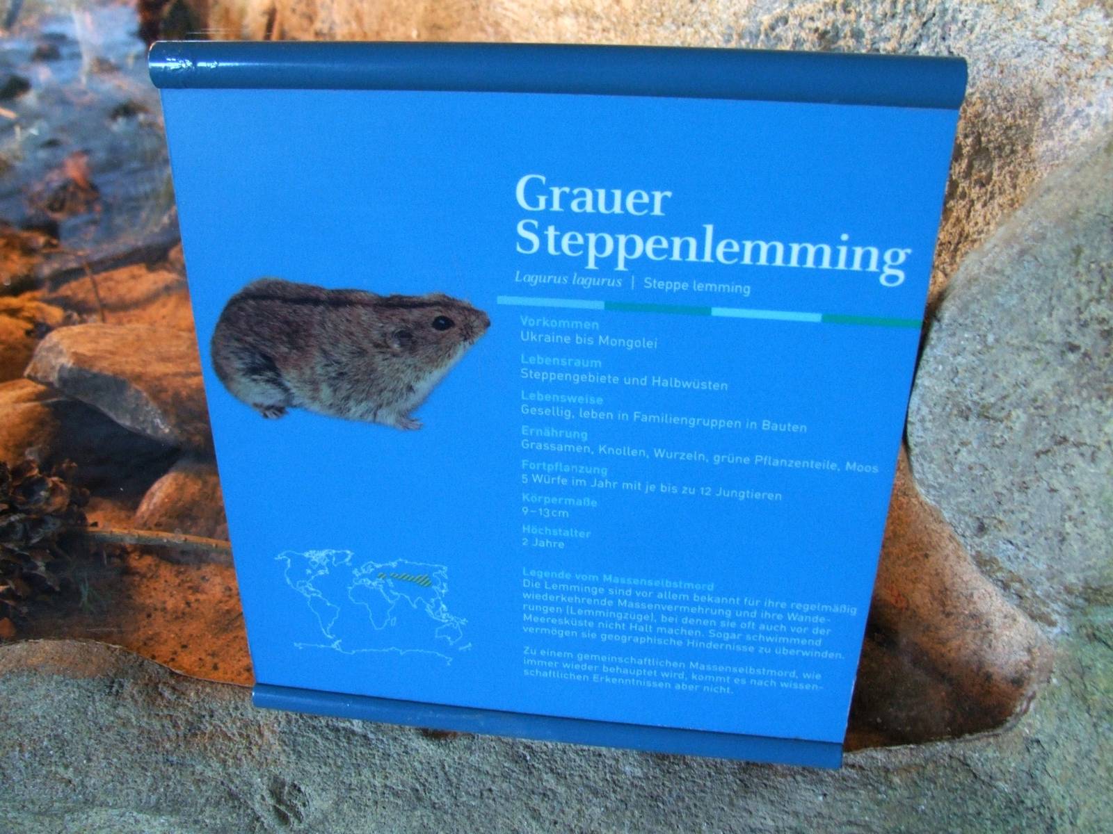 Signage Example at Bremerhaven, 24/03/13