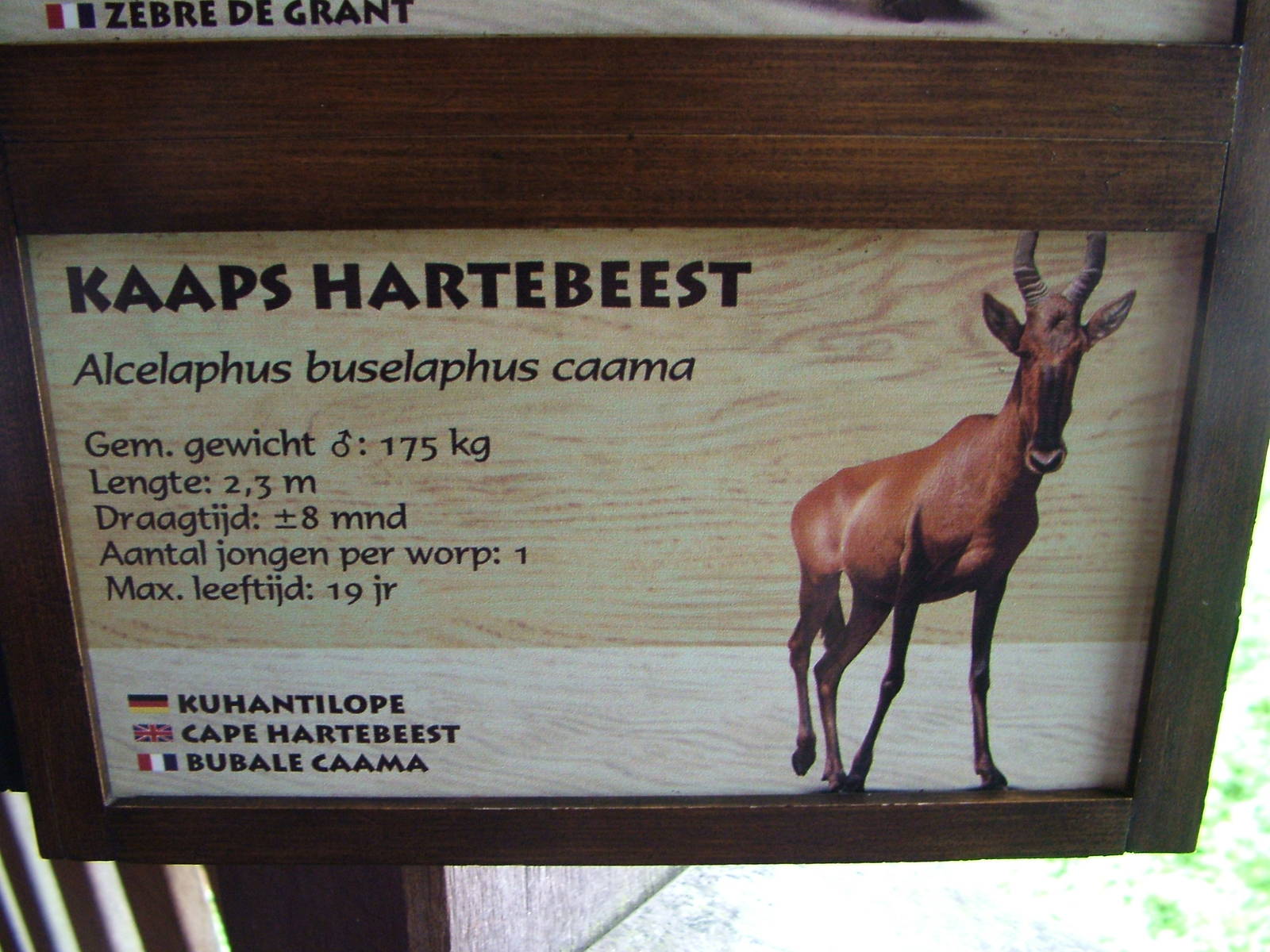 Signage Example at Burgers Zoo Arnhem, 29/08/10