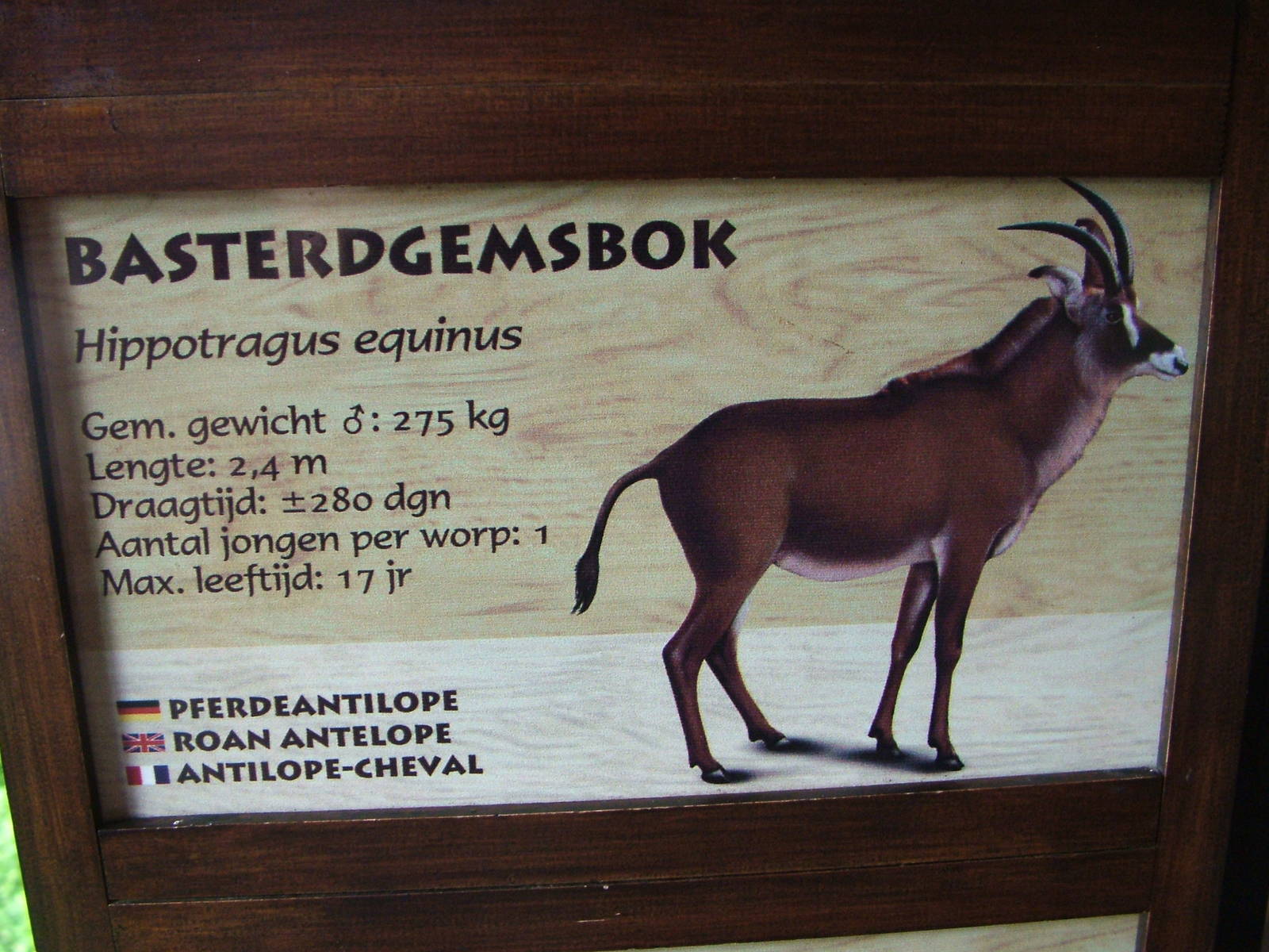 Signage Example at Burgers Zoo Arnhem, 29/08/10