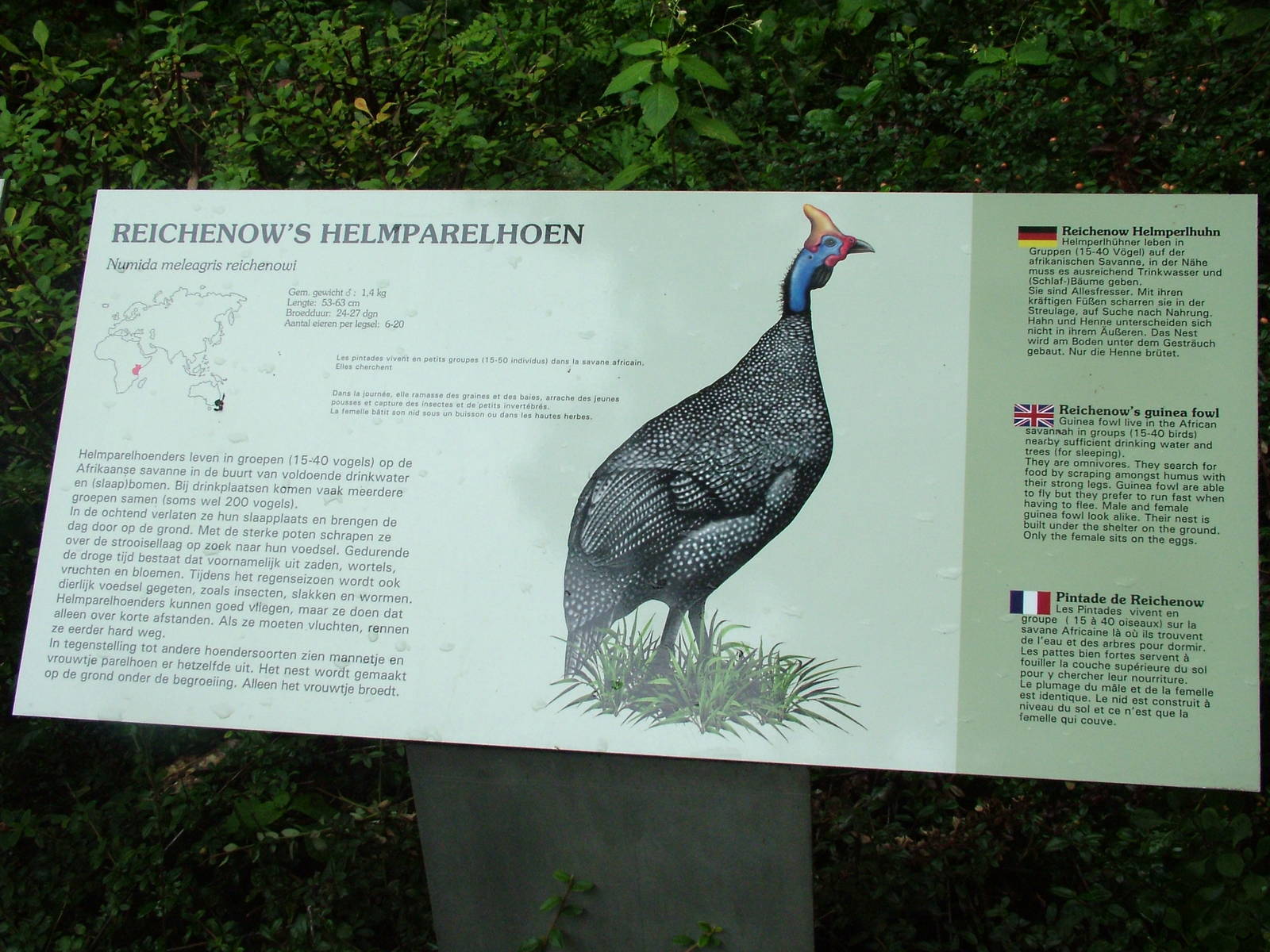 Signage Example at Burgers Zoo Arnhem, 29/08/10