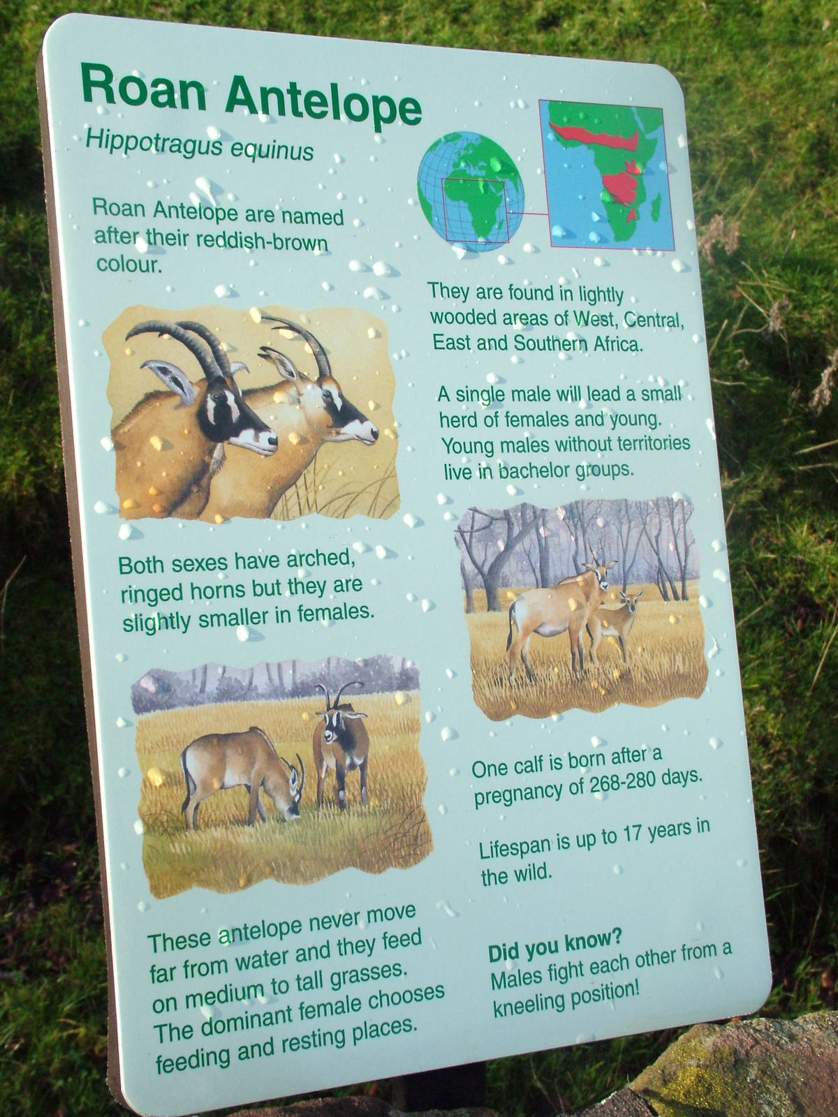 Signage example at Chester 06/12/09