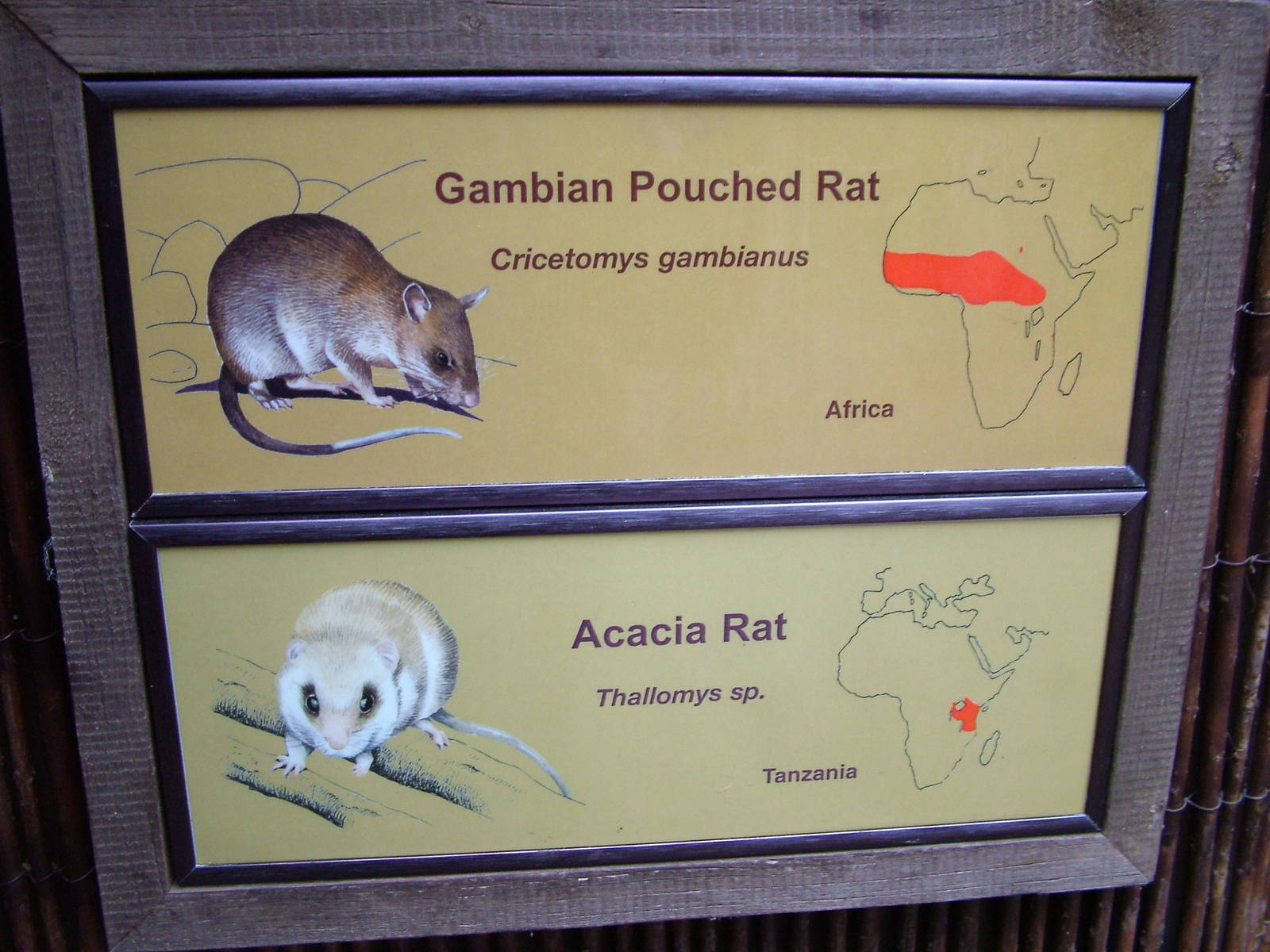 Signage example at Chester 06/12/09