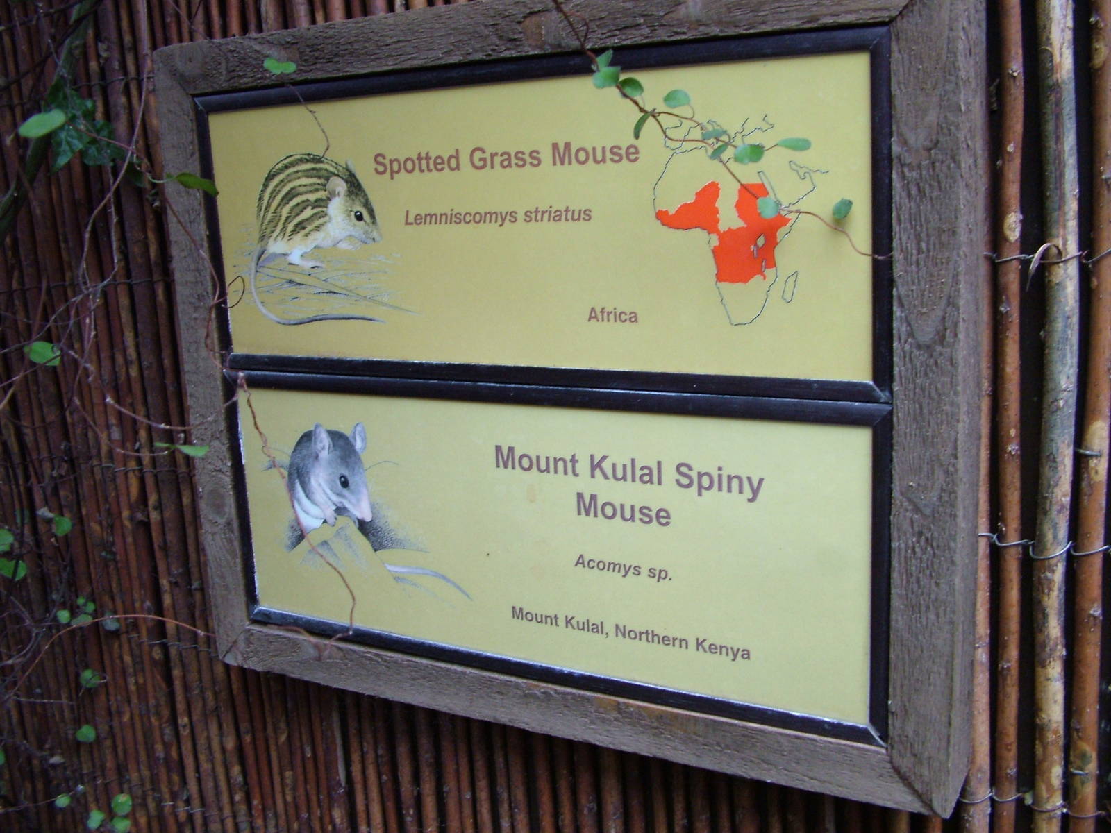 Signage example at Chester 06/12/09