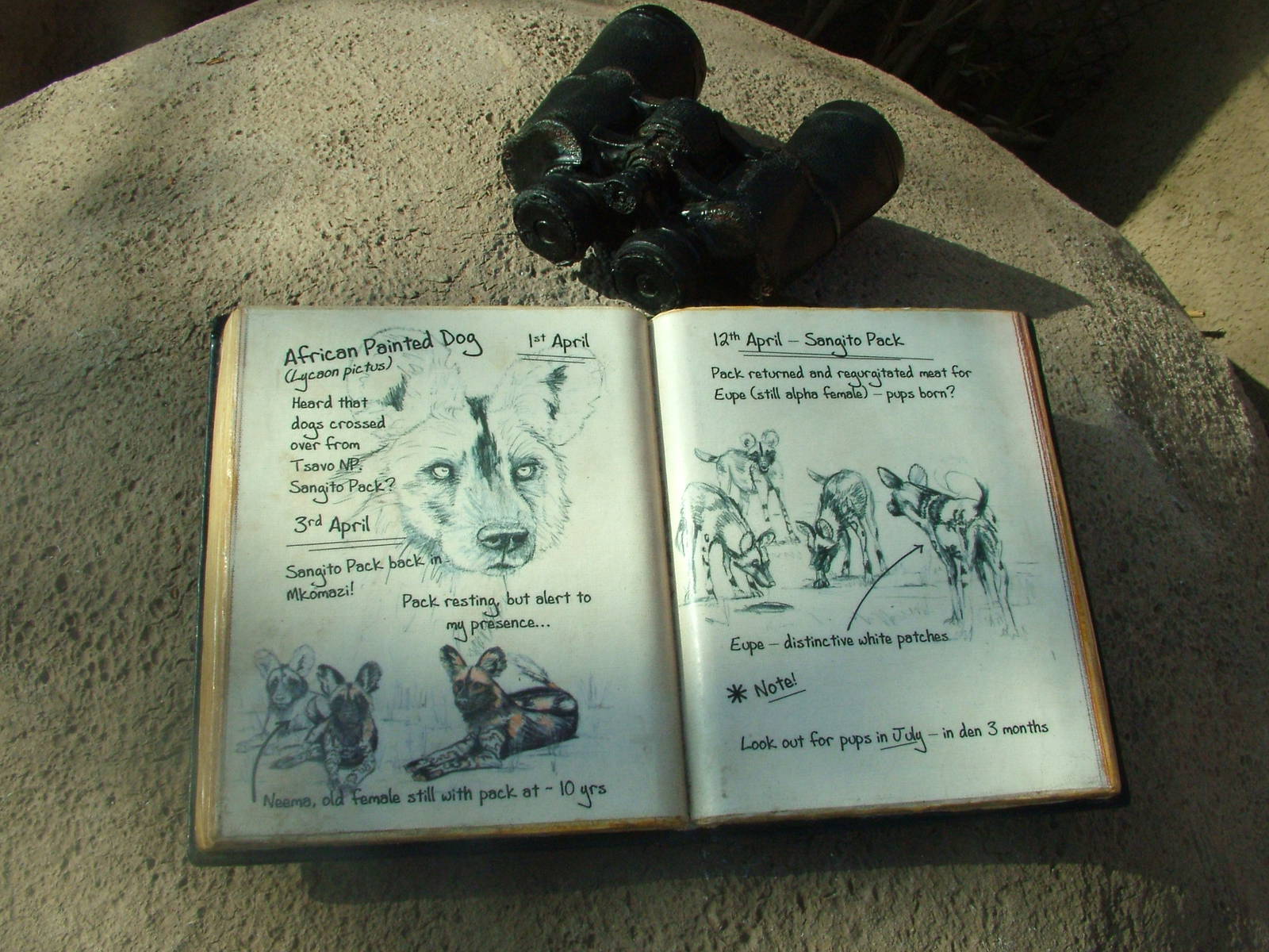 Signage Example at Chester, 16/04/11