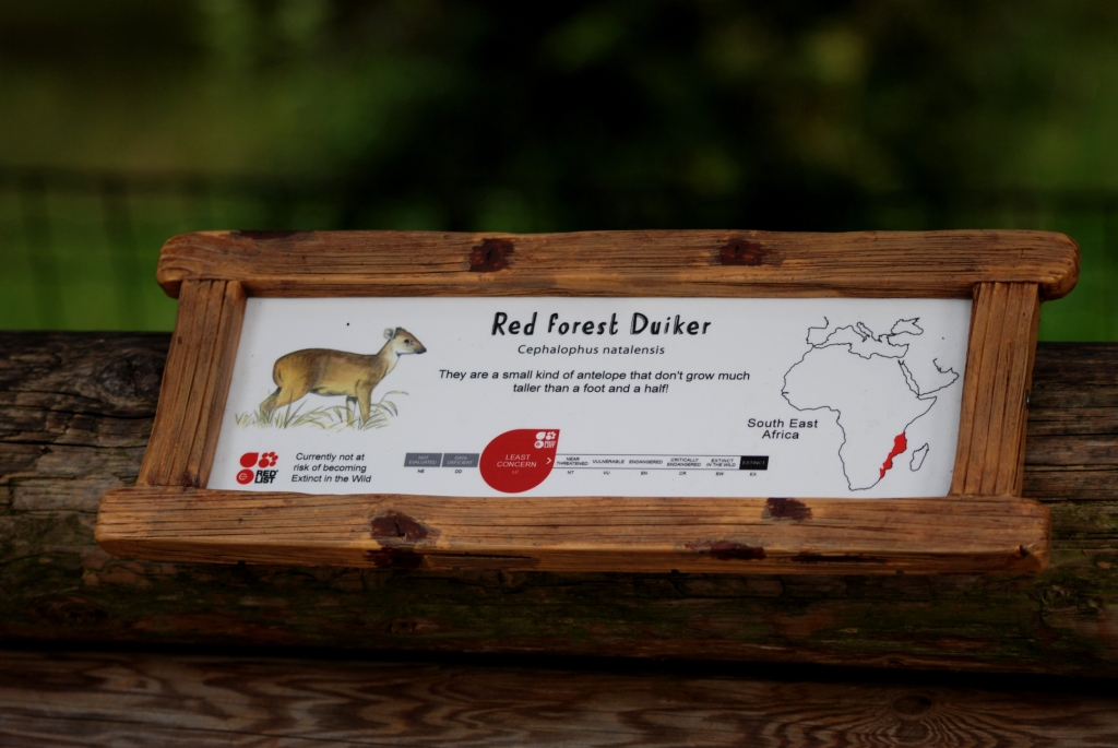 Signage Example at Chester, 27/07/14