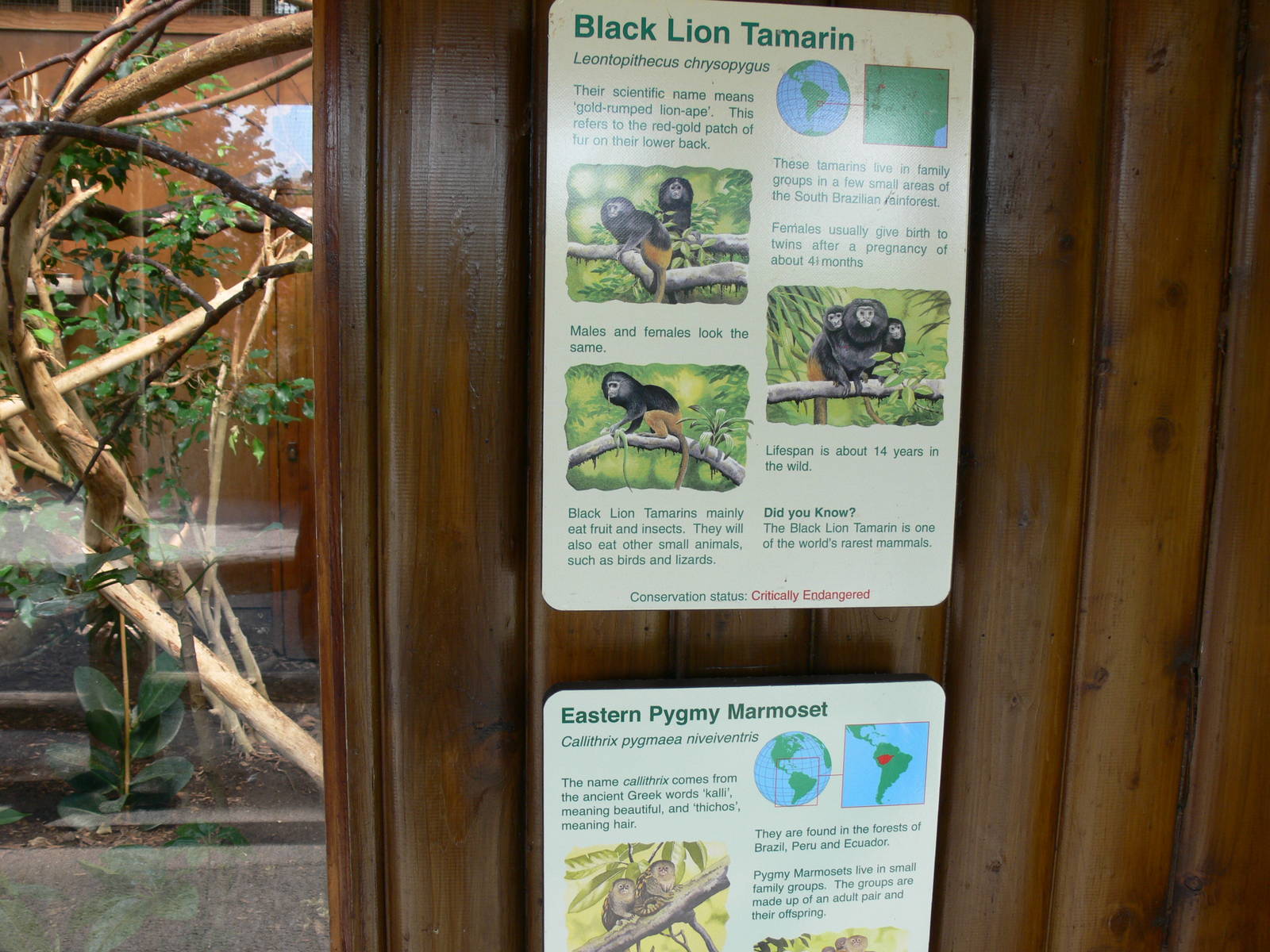 Signage Example at Chester Zoo, 06/07/13