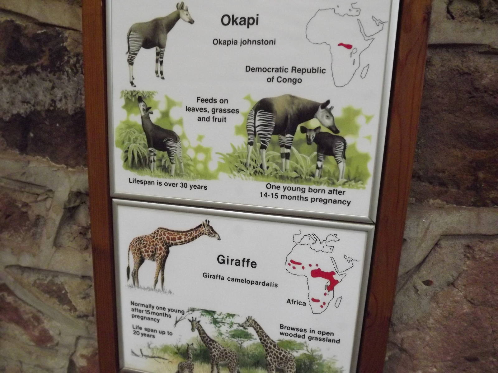 Signage example at Chester Zoo 31/03/12