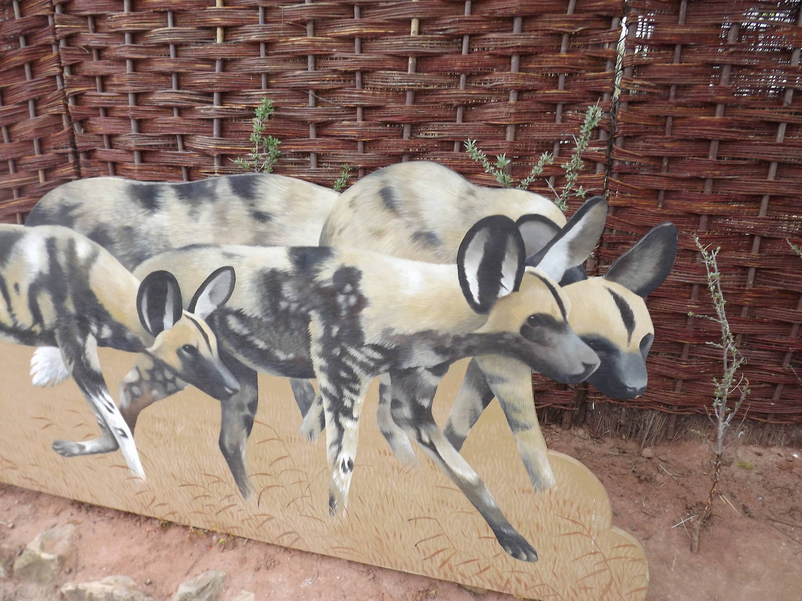 Signage example at Chester Zoo 31/03/12