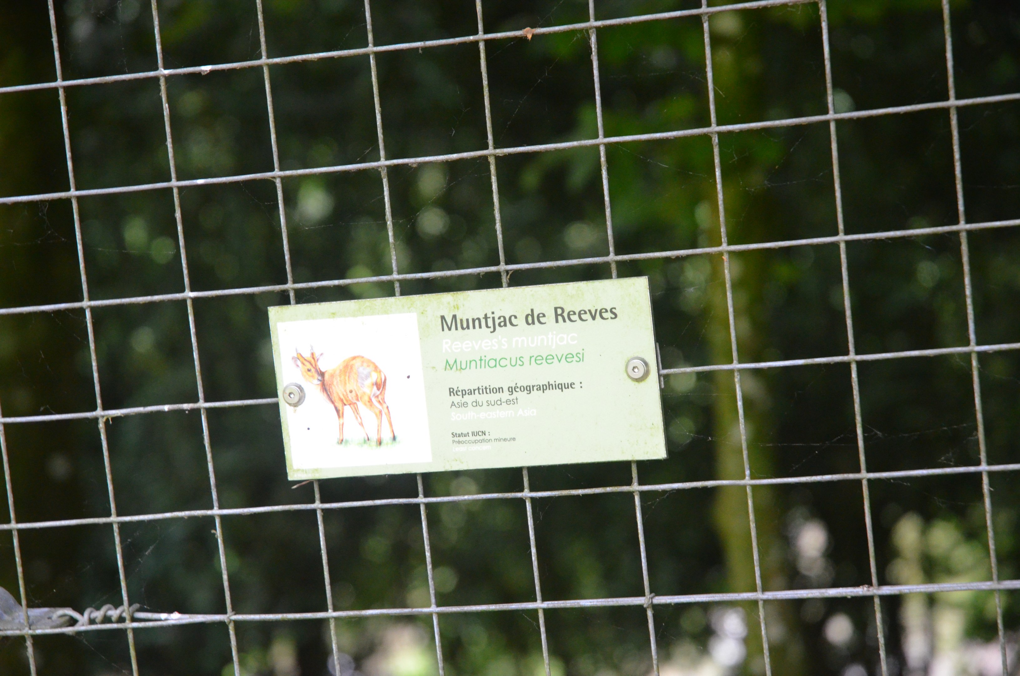 Signage Example at Clères, 16/06/18